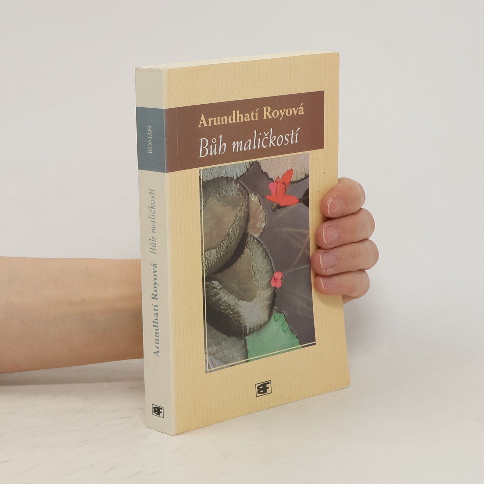Arundhati Roy Bůh maličkostí