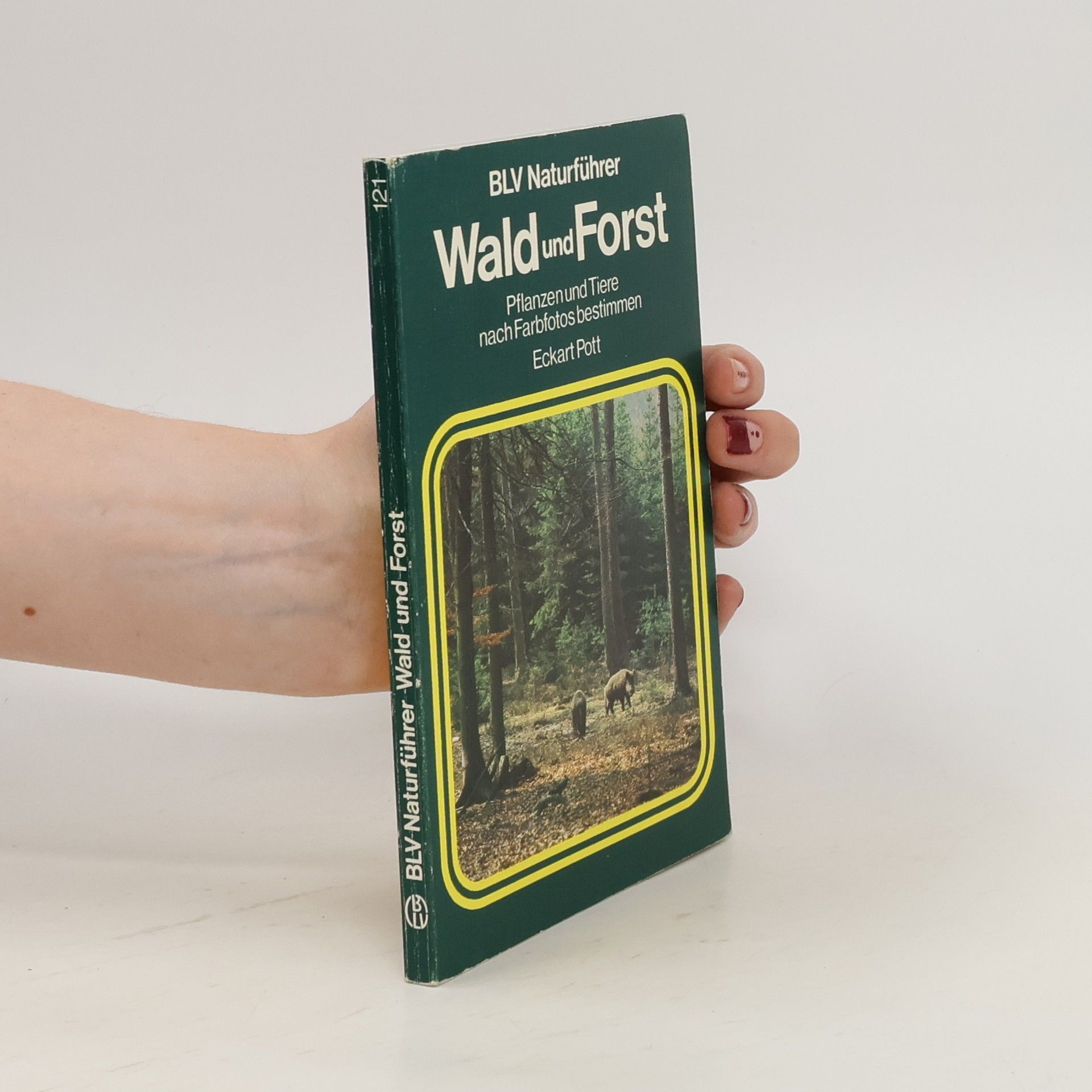 Eckart Pott Wald und Forst