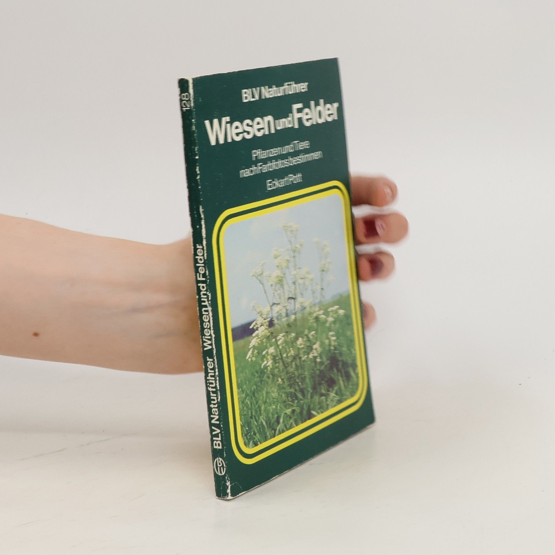 Eckart Pott Wiesen und Felder
