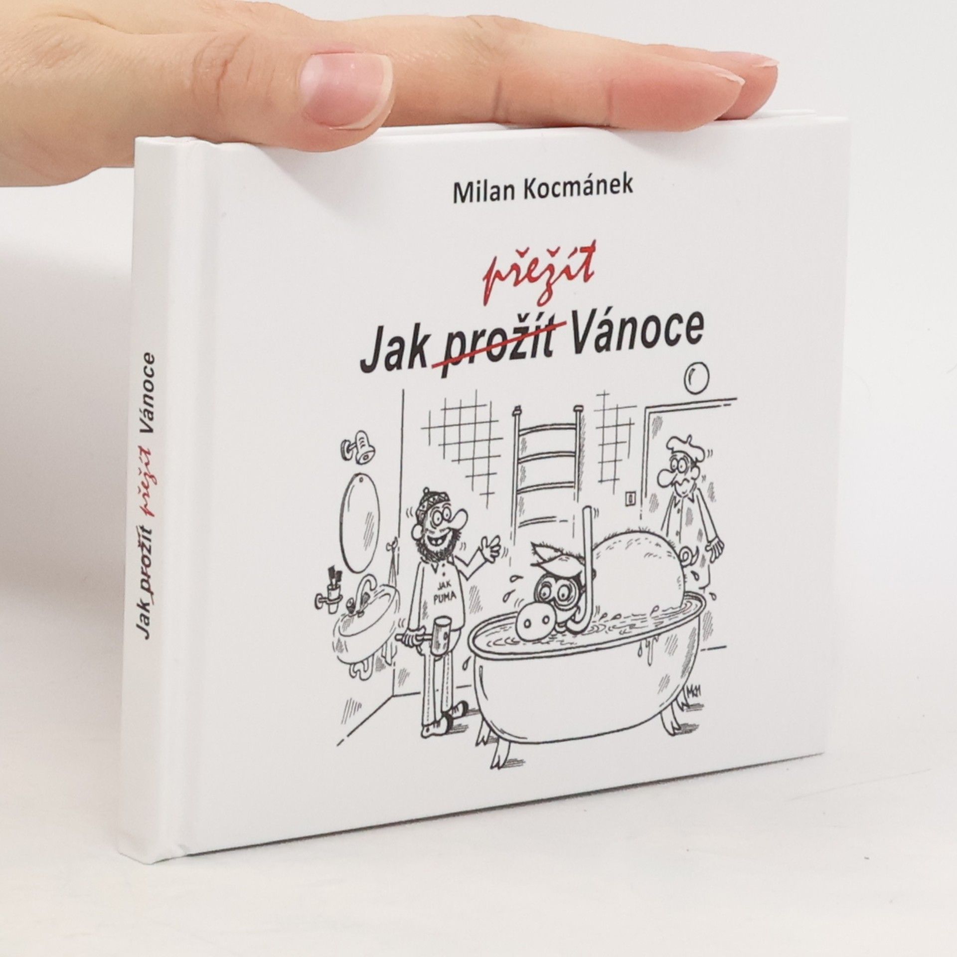 Milan Kocmánek Jak prožít (přežít) Vánoce