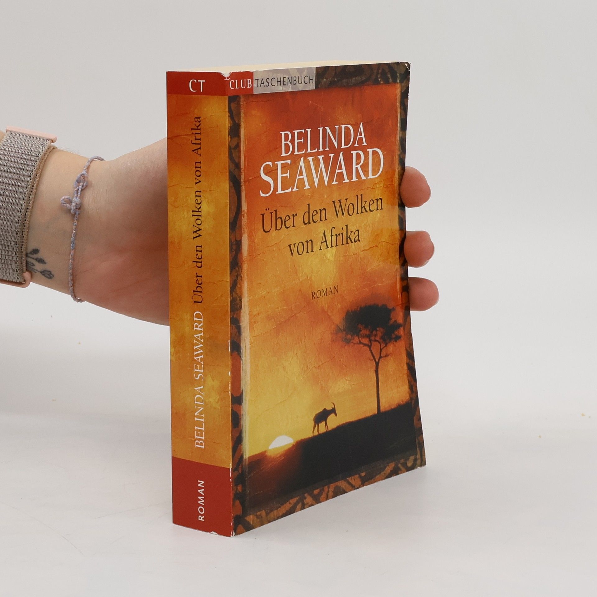 Belinda Seaward Über den Wolken von Afrika