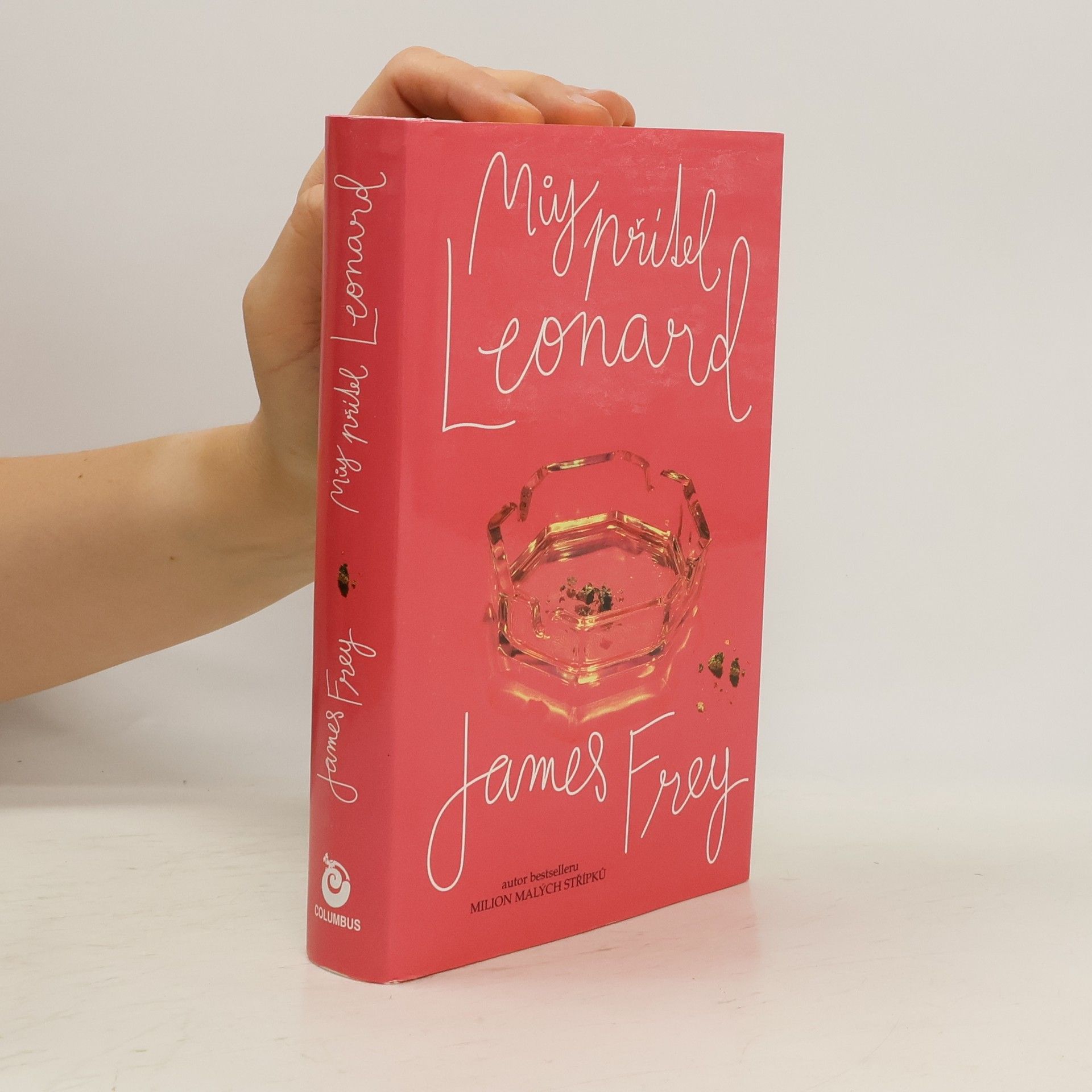 James Frey Můj přítel Leonard