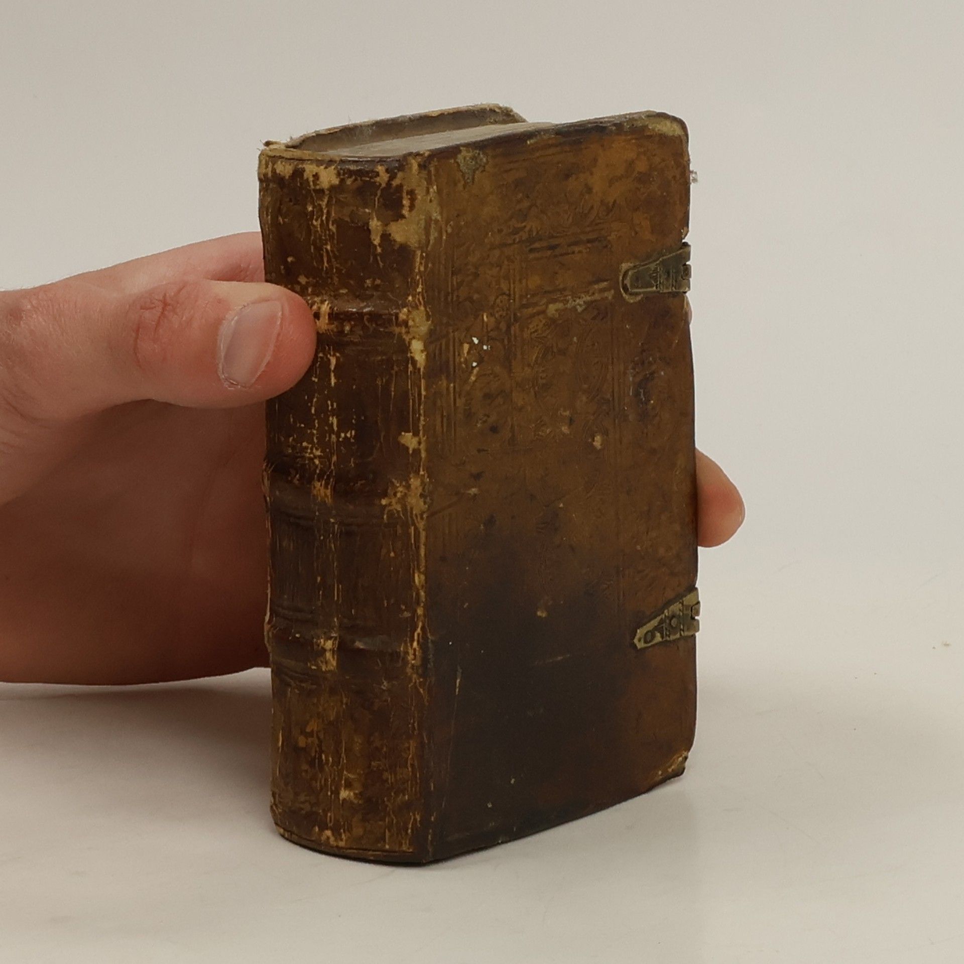 Aldo Manuzio Purae elegantes et copiosae latinae linguae
