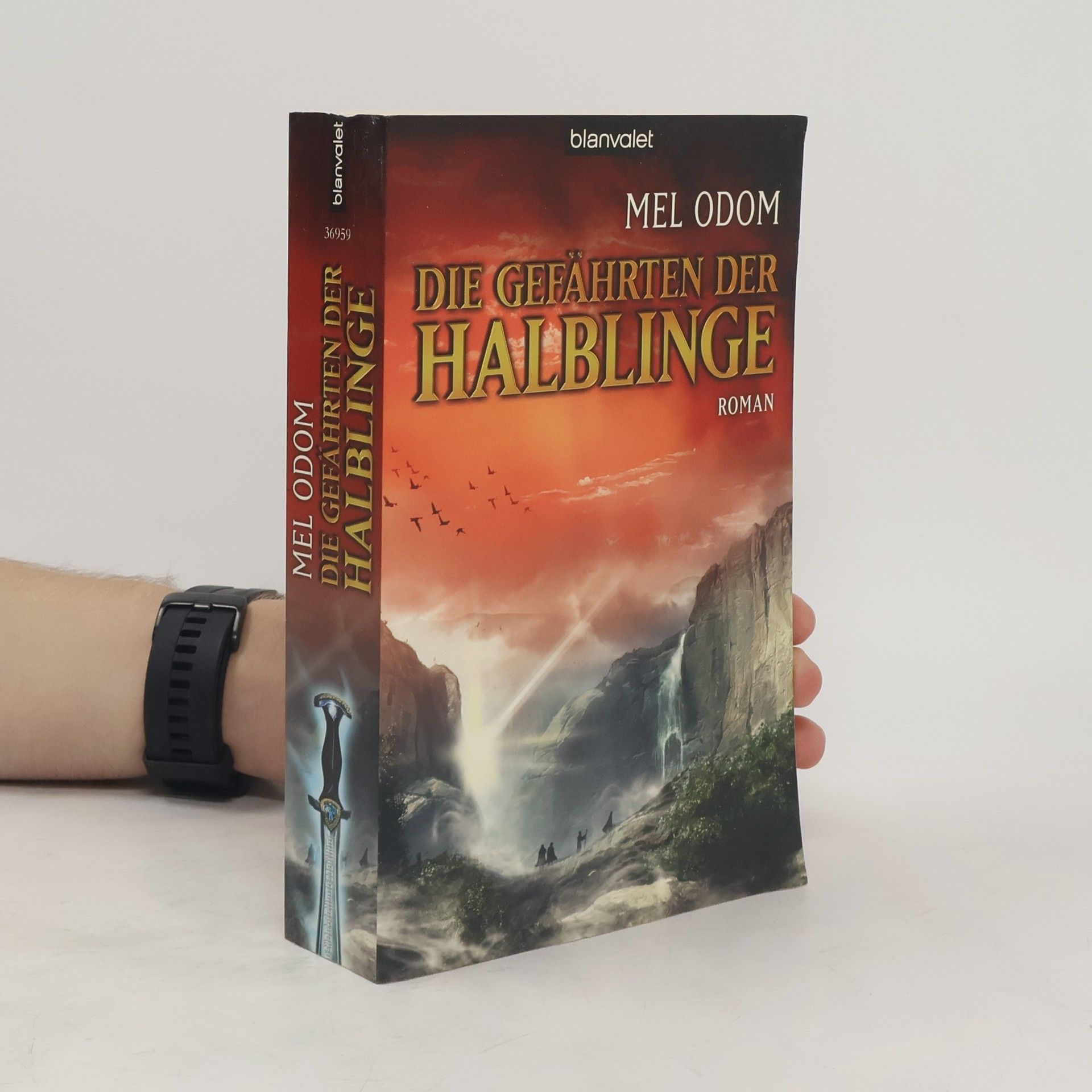 Mel Odom Die Gefährten der Halblinge