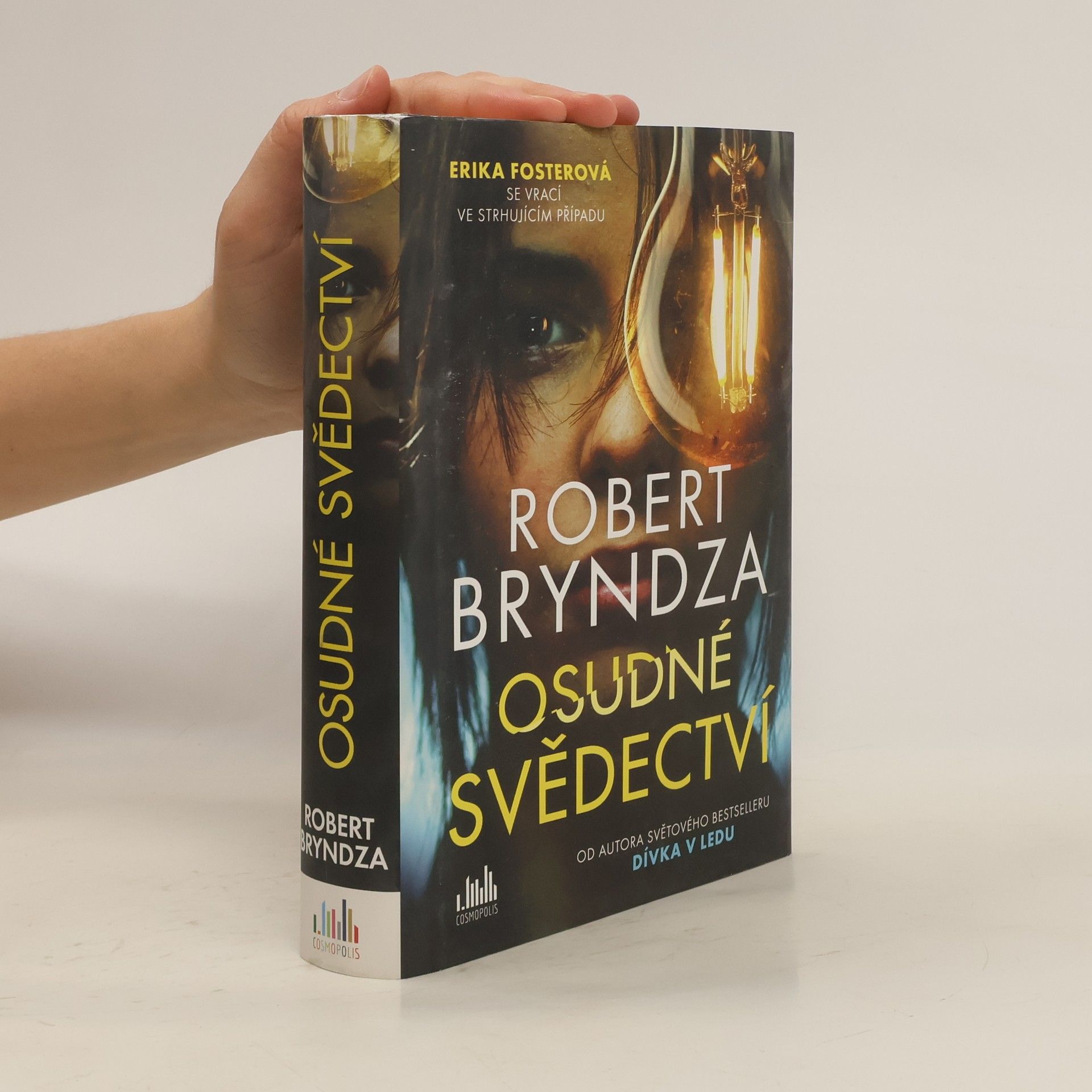 Robert Bryndza Osudné svědectví