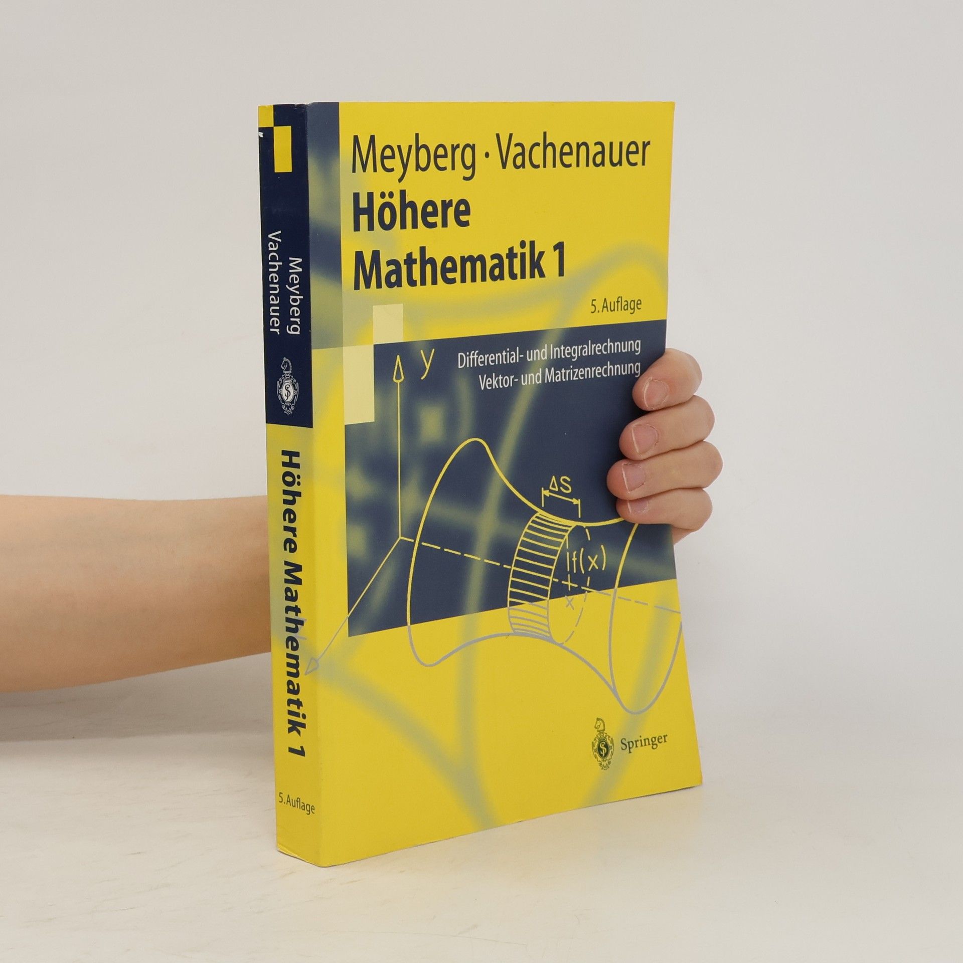 Kurt Meyberg Höhere Mathematik 1