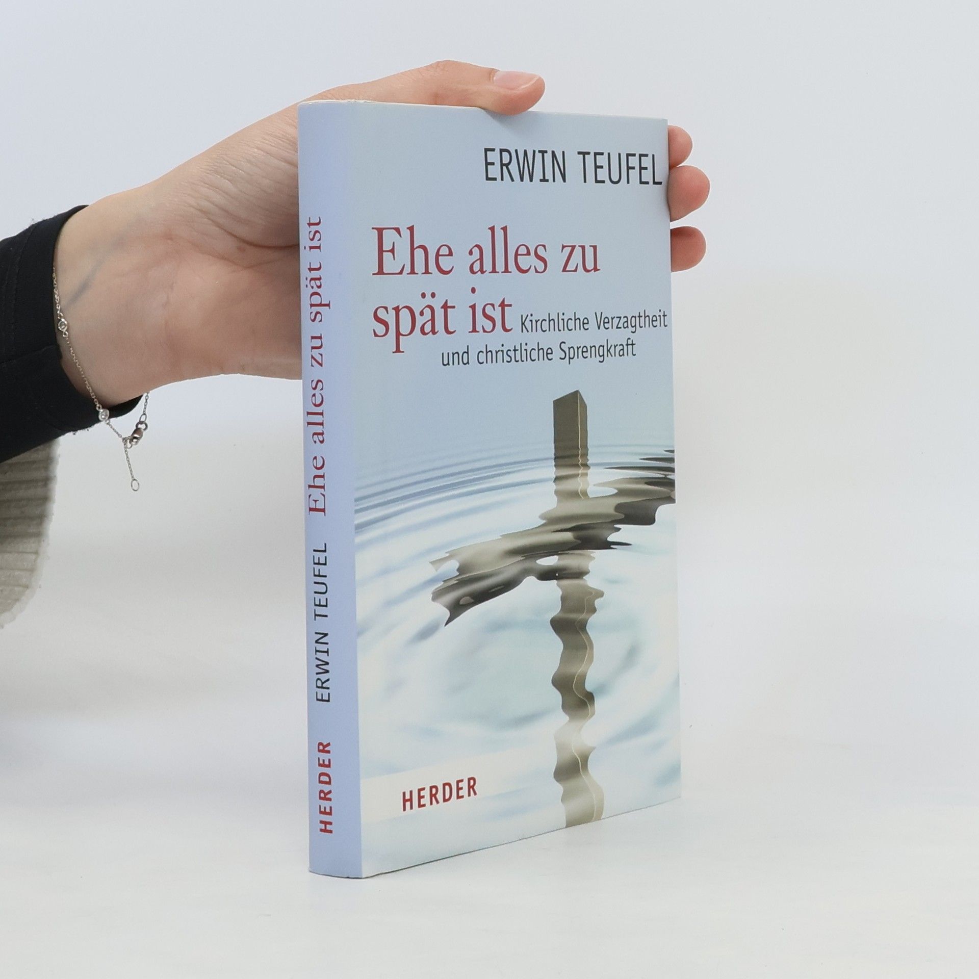 Erwin Teufel Ehe alles zu spät ist