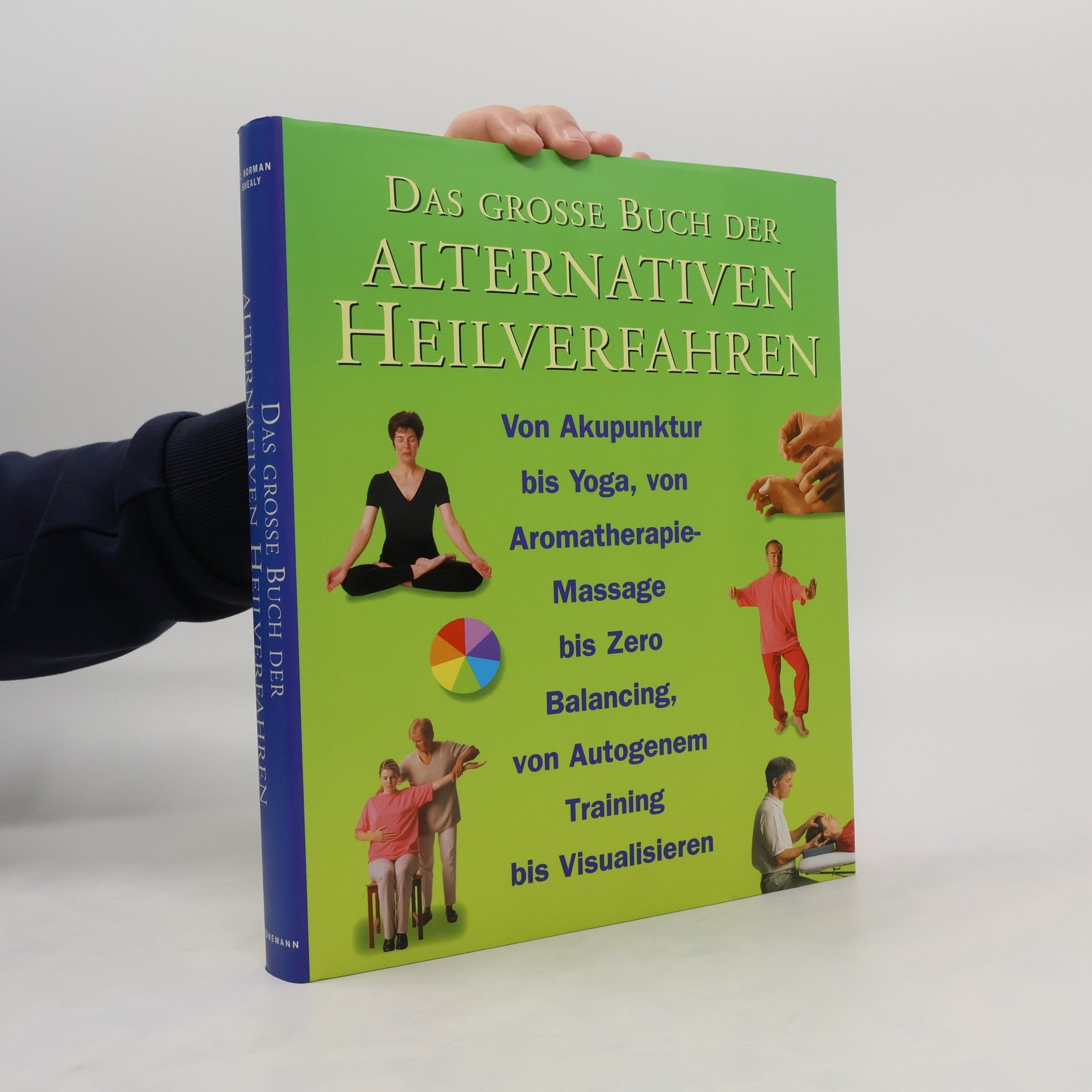 Clyde Norman Shealy Das große Buch der alternativen Heilverfahren