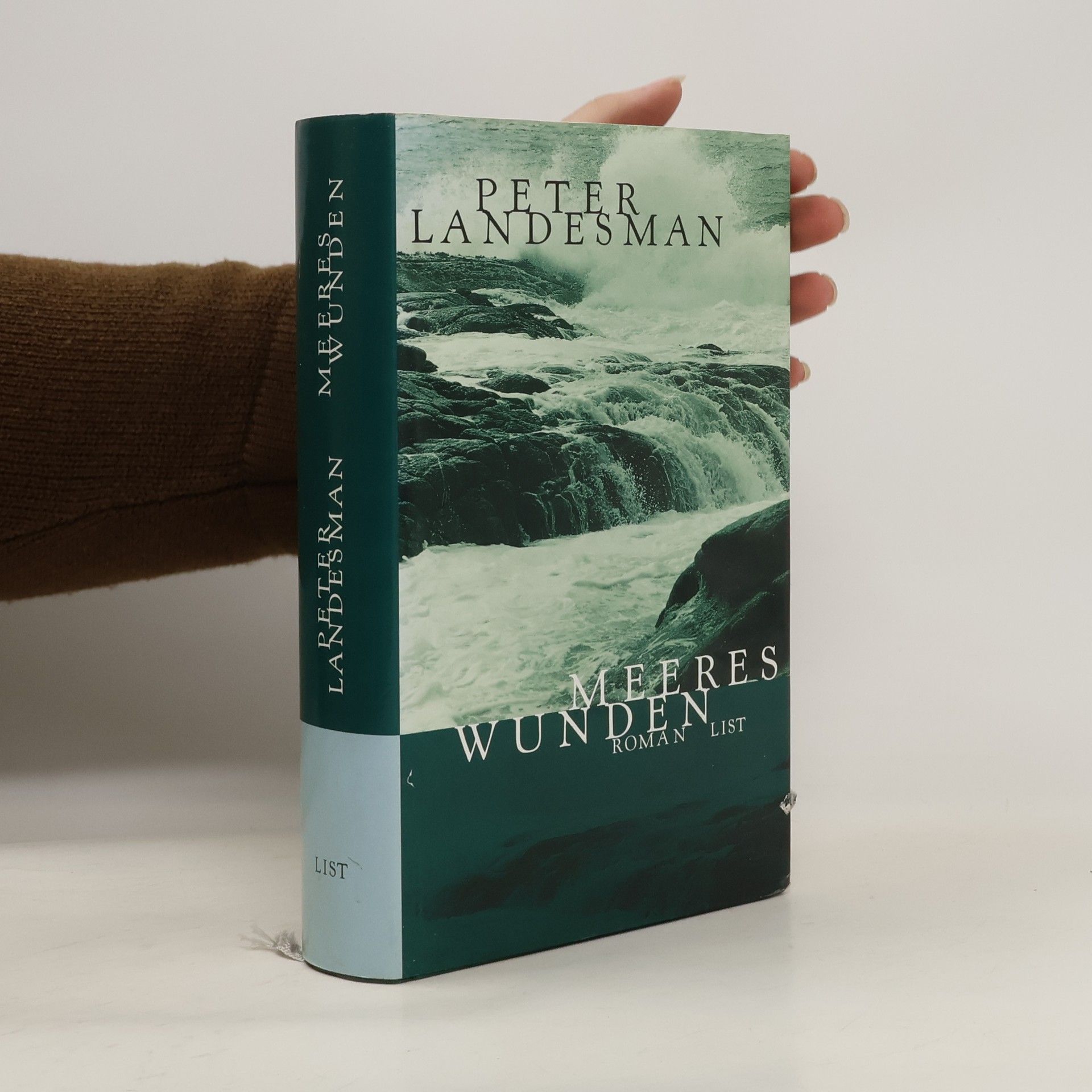 Peter Landesman Meereswunden