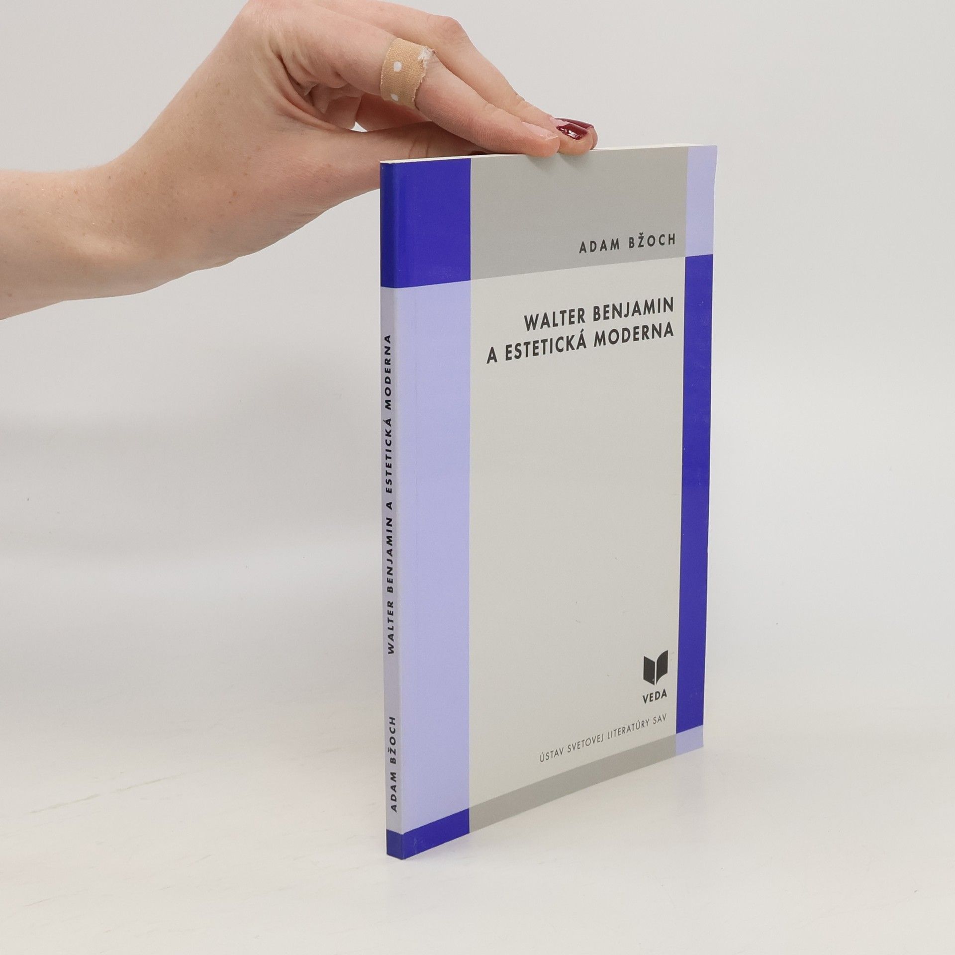 Adam Bžoch Walter Benjamin a estetická moderna