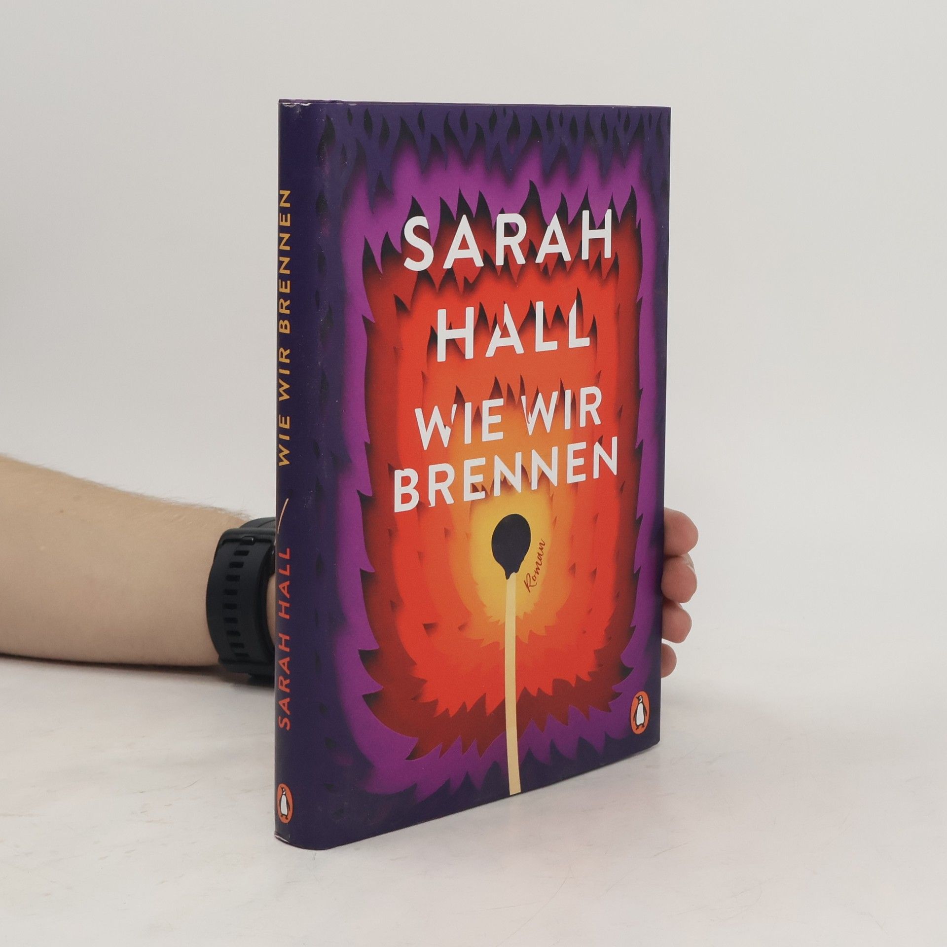 Sarah Hall Wie wir brennen