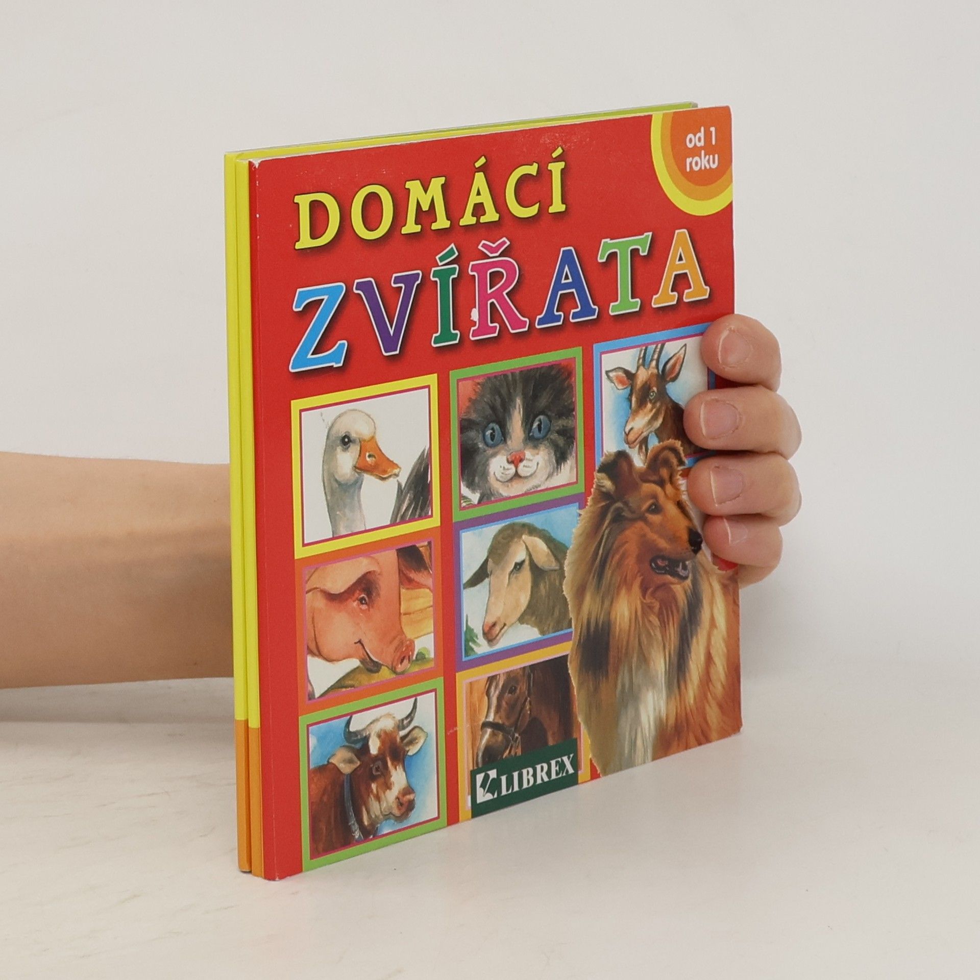 Dagmar Košková Domácí zvířata