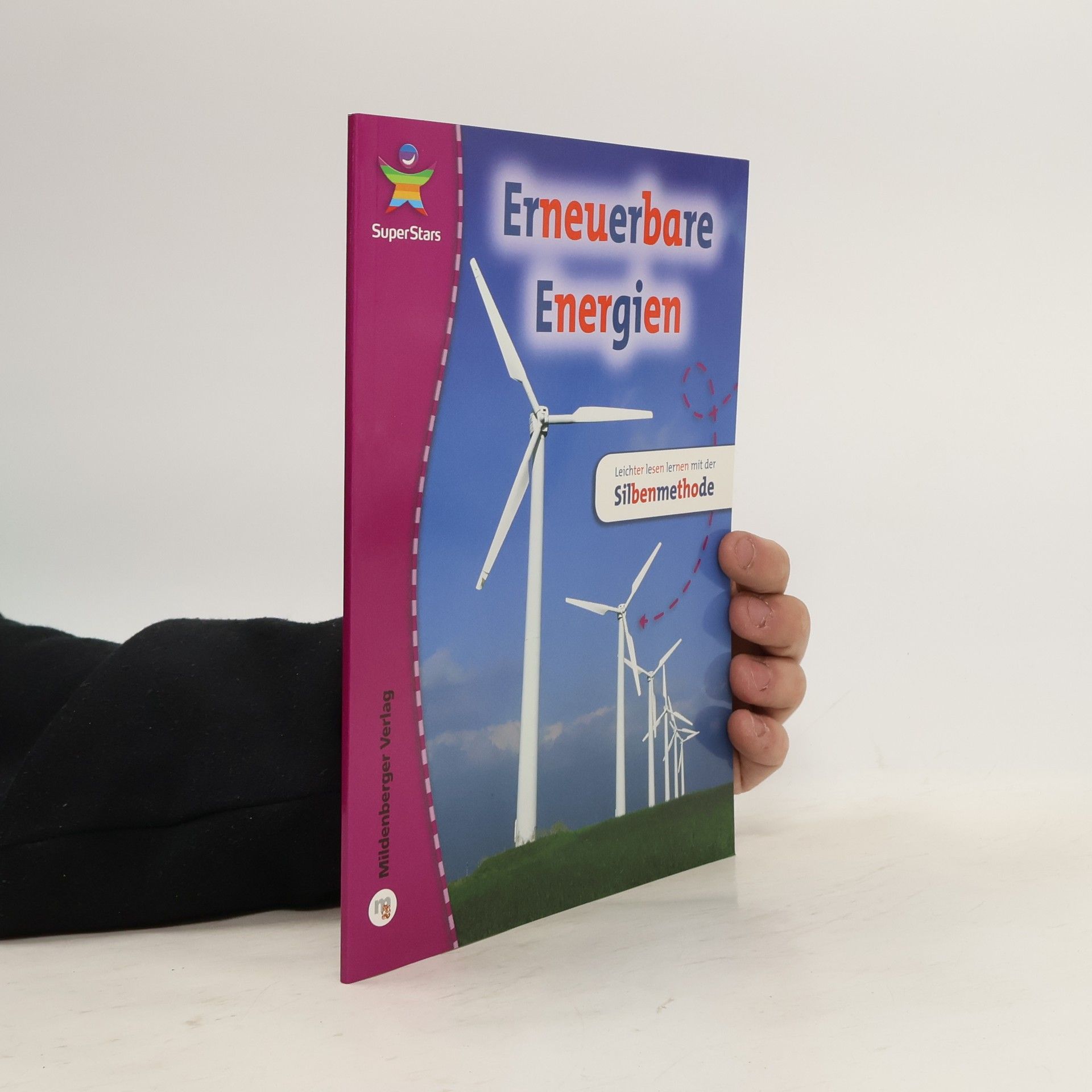 Nicolas Brasch Erneuerbare Energien