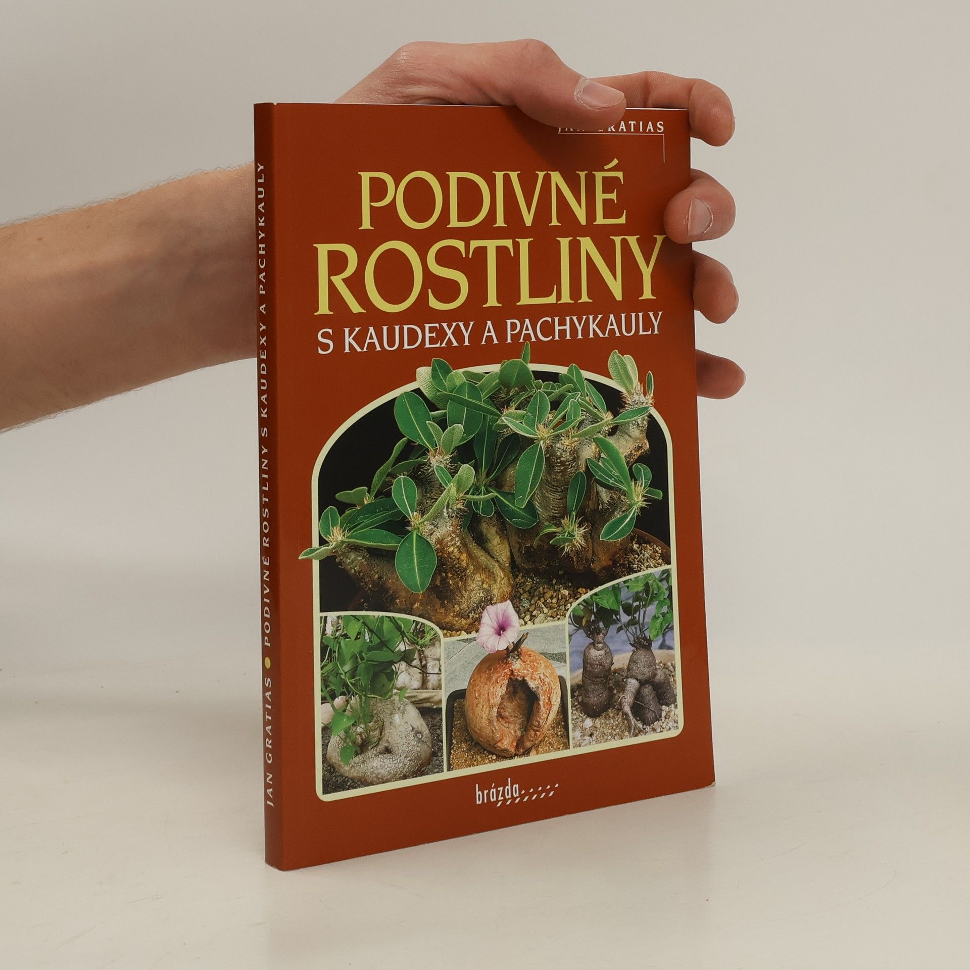Jan Gratias Podivné rostliny s kaudexy a pachykauly