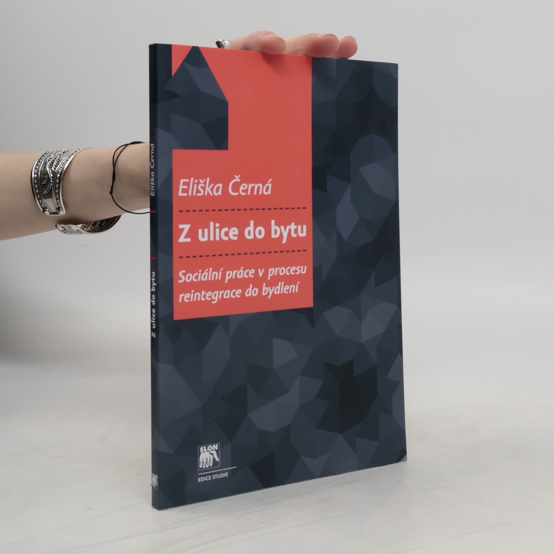Eliška Černá Z ulice do bytu: Sociální práce v procesu reintegrace do bydlení