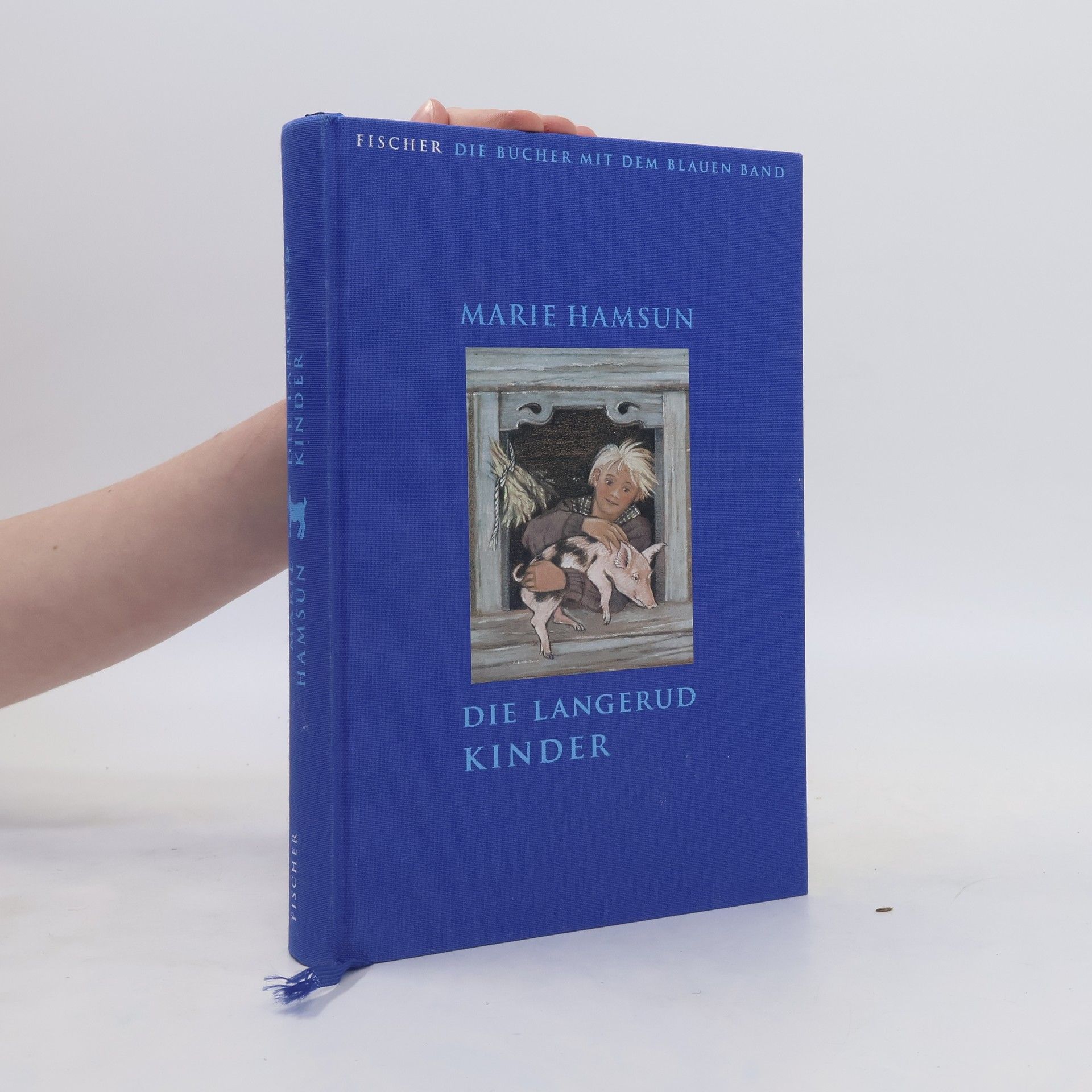 Marie Hamsun Die Langerudkinder