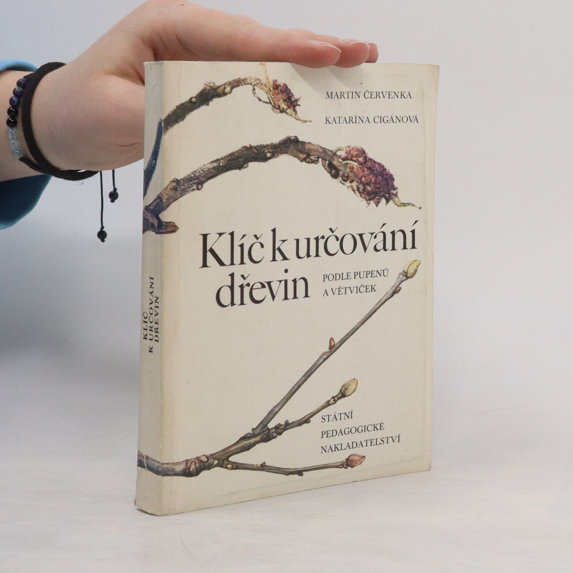 Katarína Cigánová Klíč k určování dřevin podle pupenů a větviček