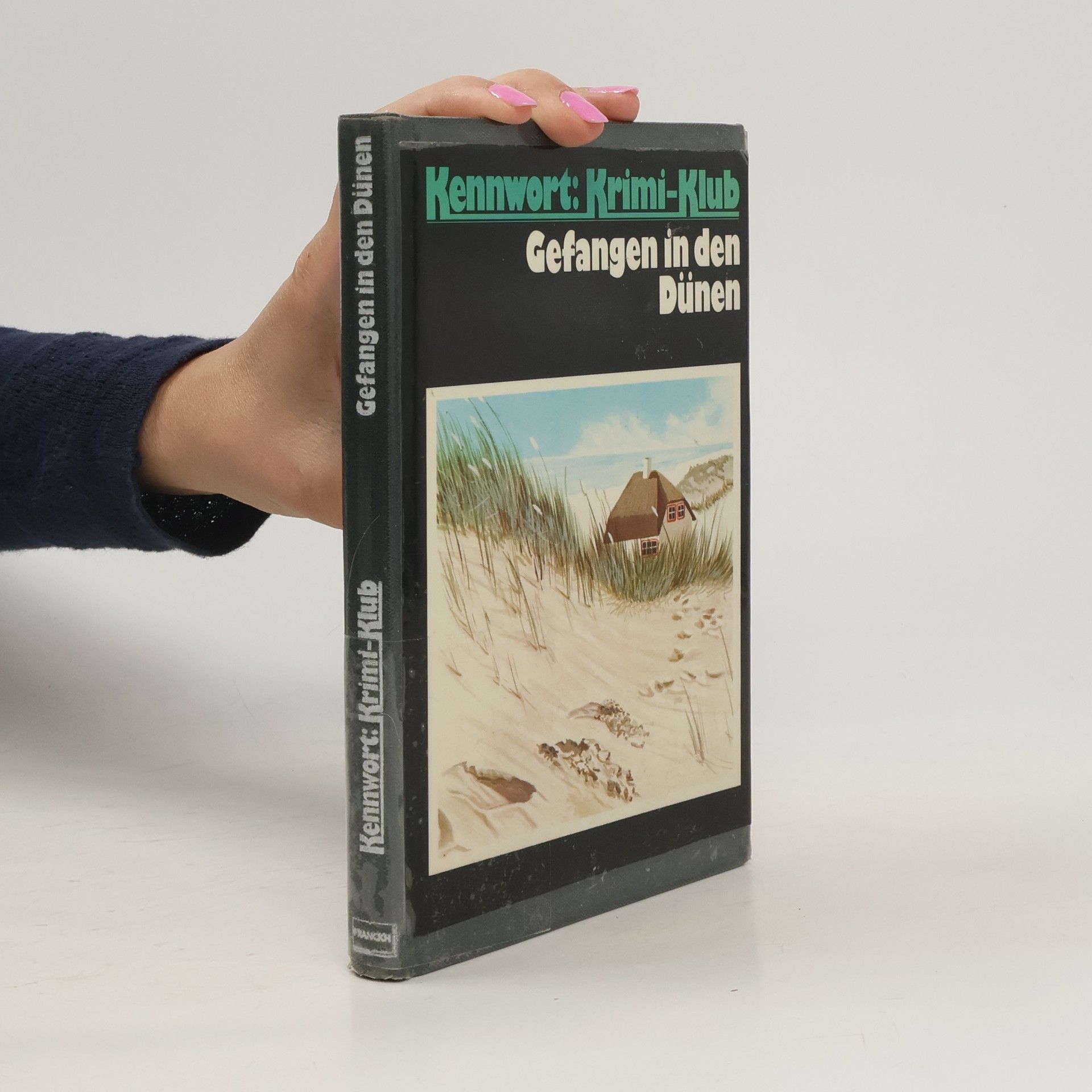 Catherine Krauth Gefangen in den Dünen