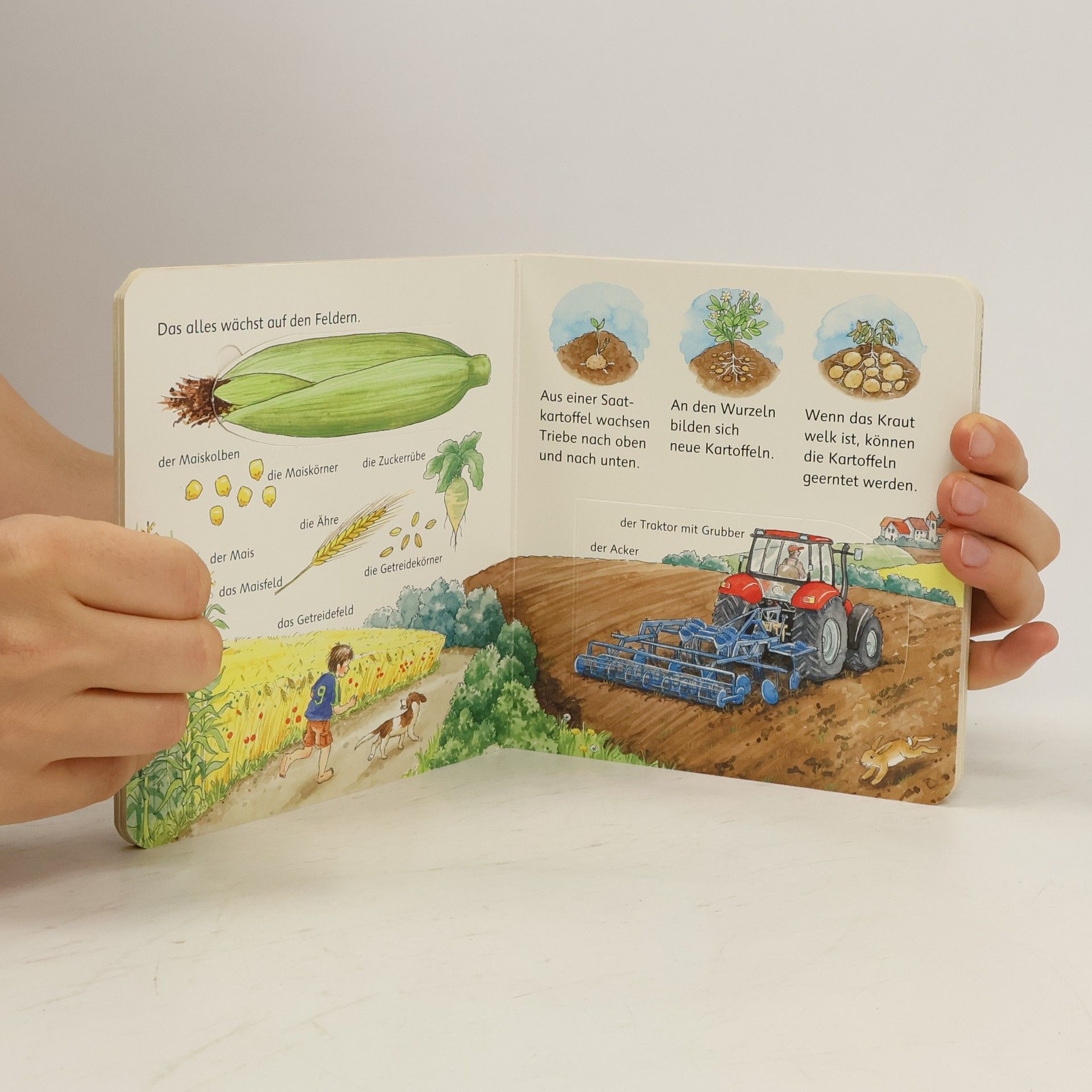Autorenkollektiv Mein erstes Wörterbuch. Bauernhof