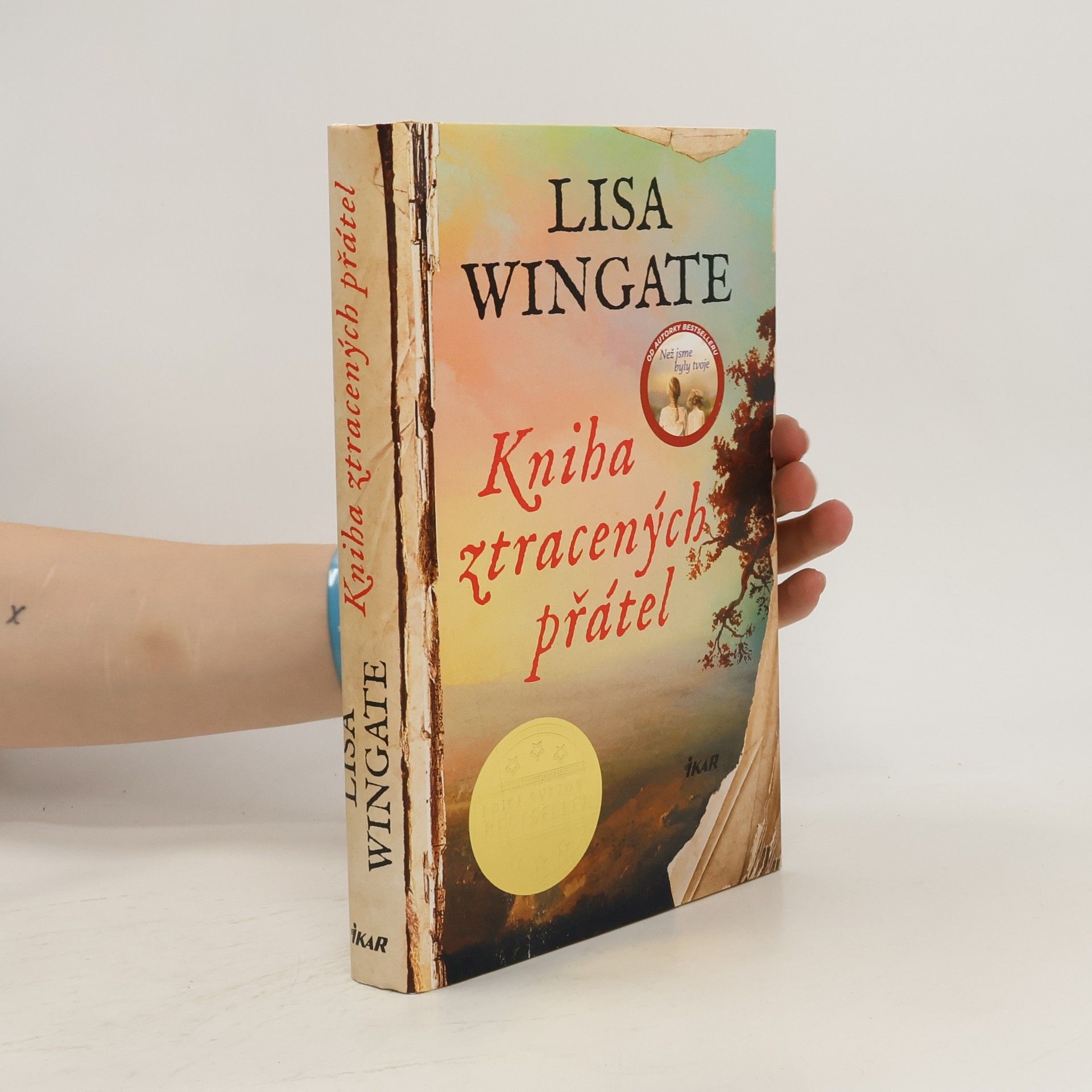 Lisa Wingate Kniha ztracených přátel