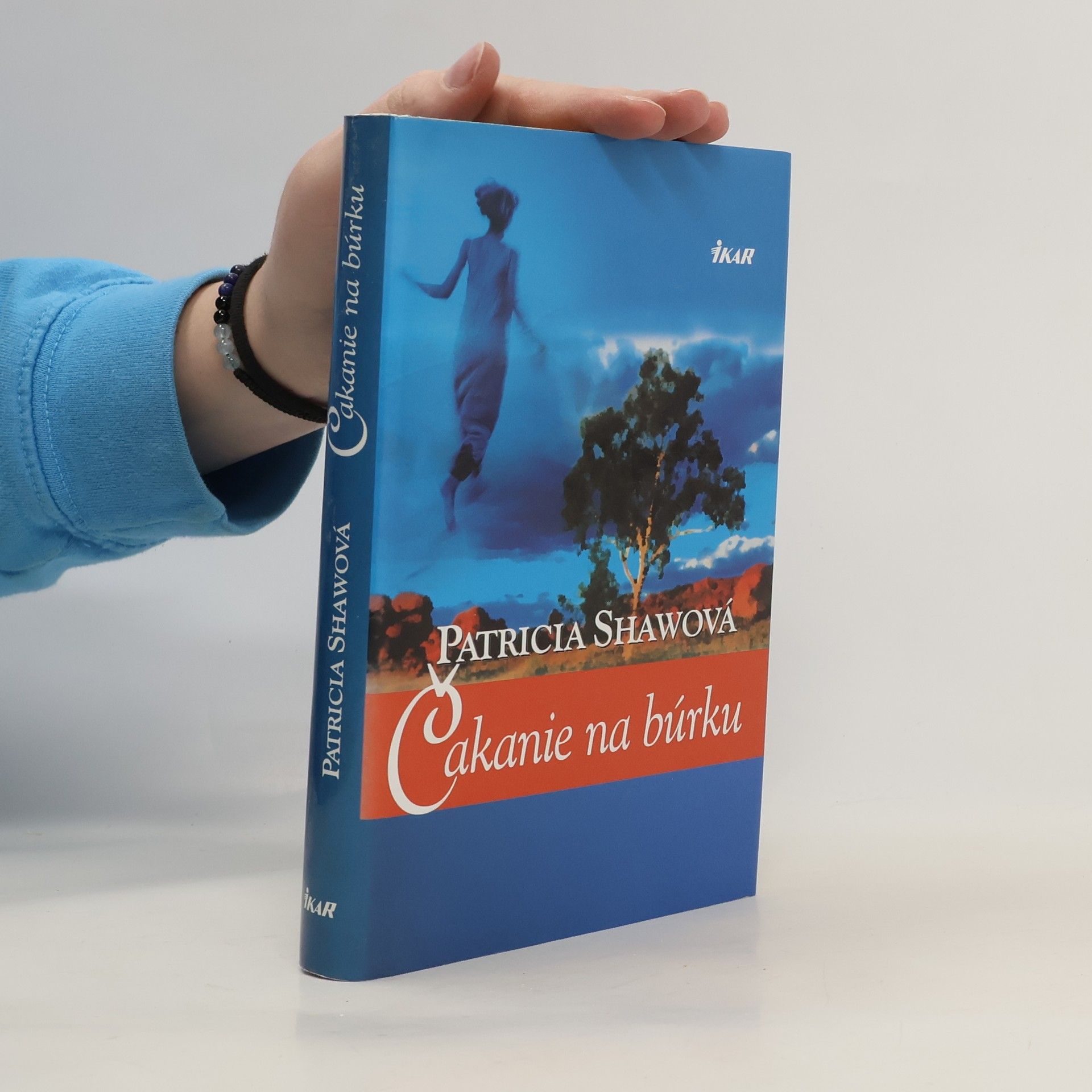 Patricia Shaw Čakanie na búrku
