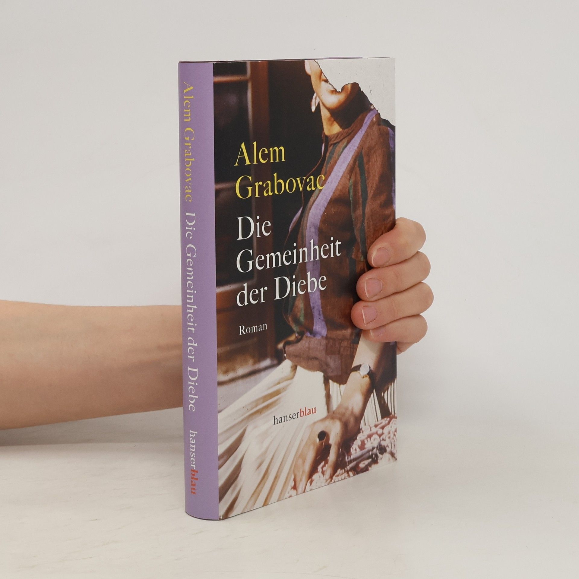 Alem Grabovac Die Gemeinheit der Diebe