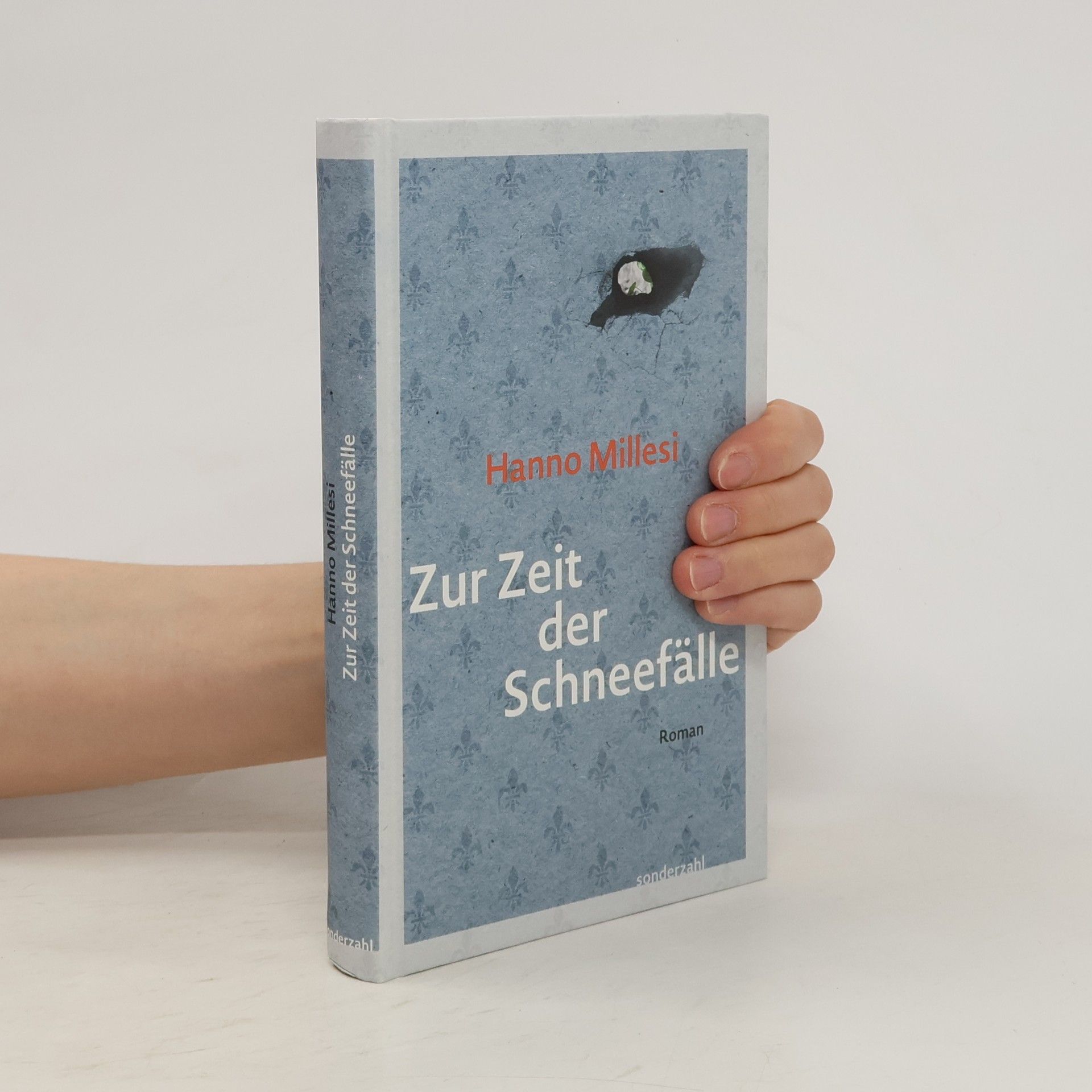 Hanno Millesi Zur Zeit der Schneefälle