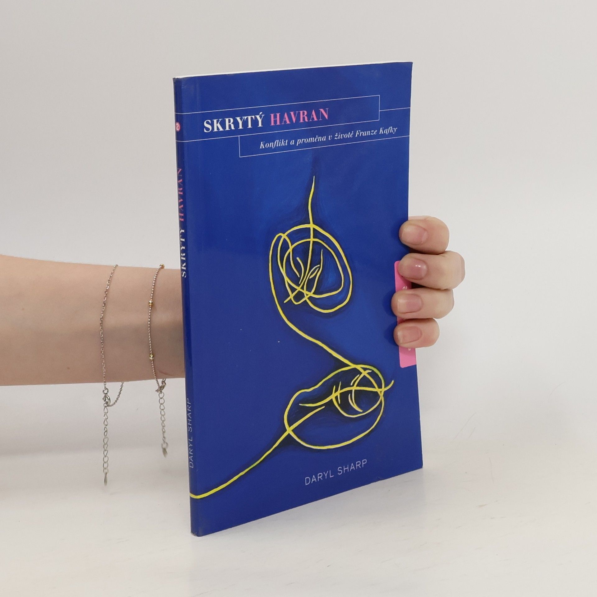 Daryl Sharp Skrytý havran: Konflikt a proměna v životě Franze Kafky