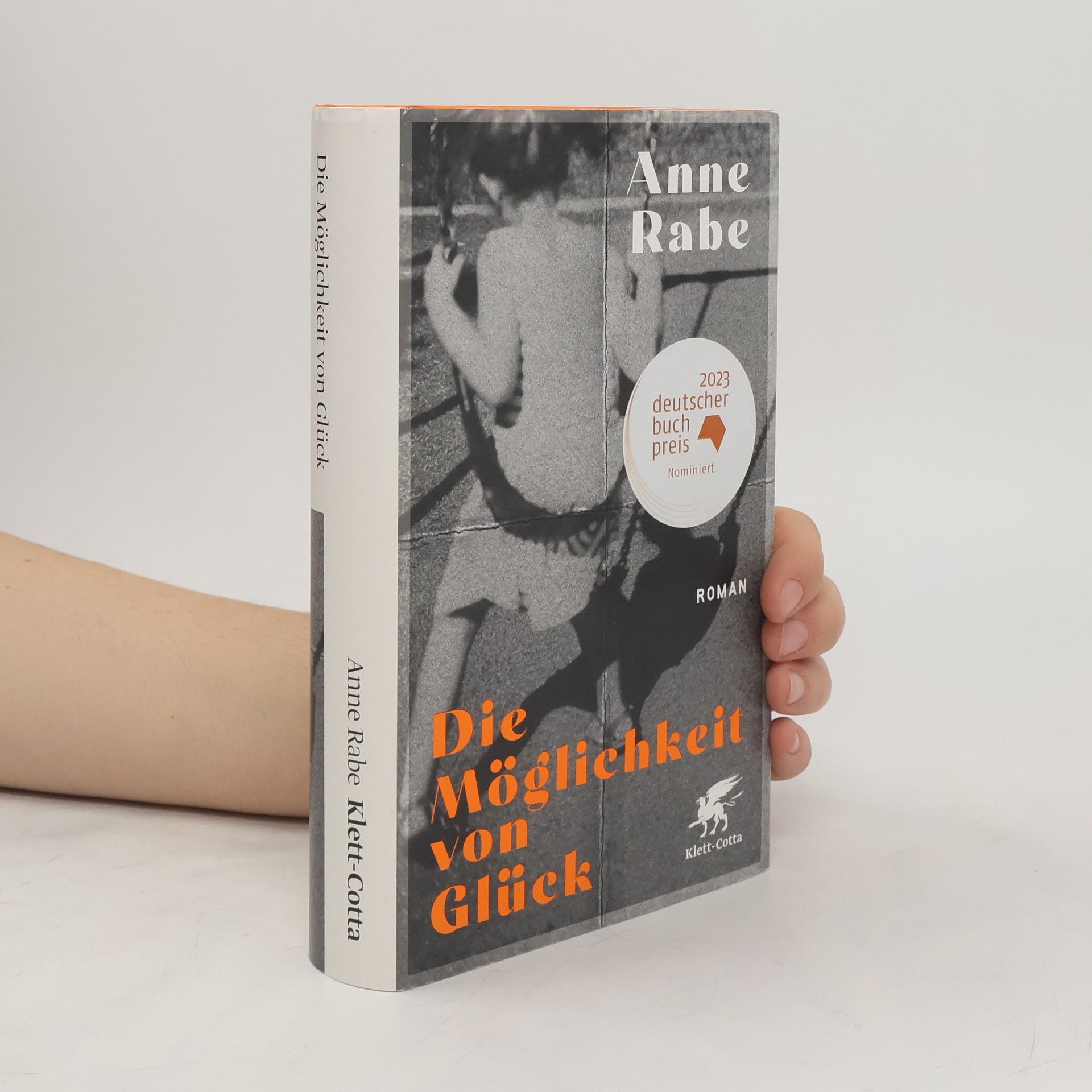 Anne Rabe Die Möglichkeit von Glück