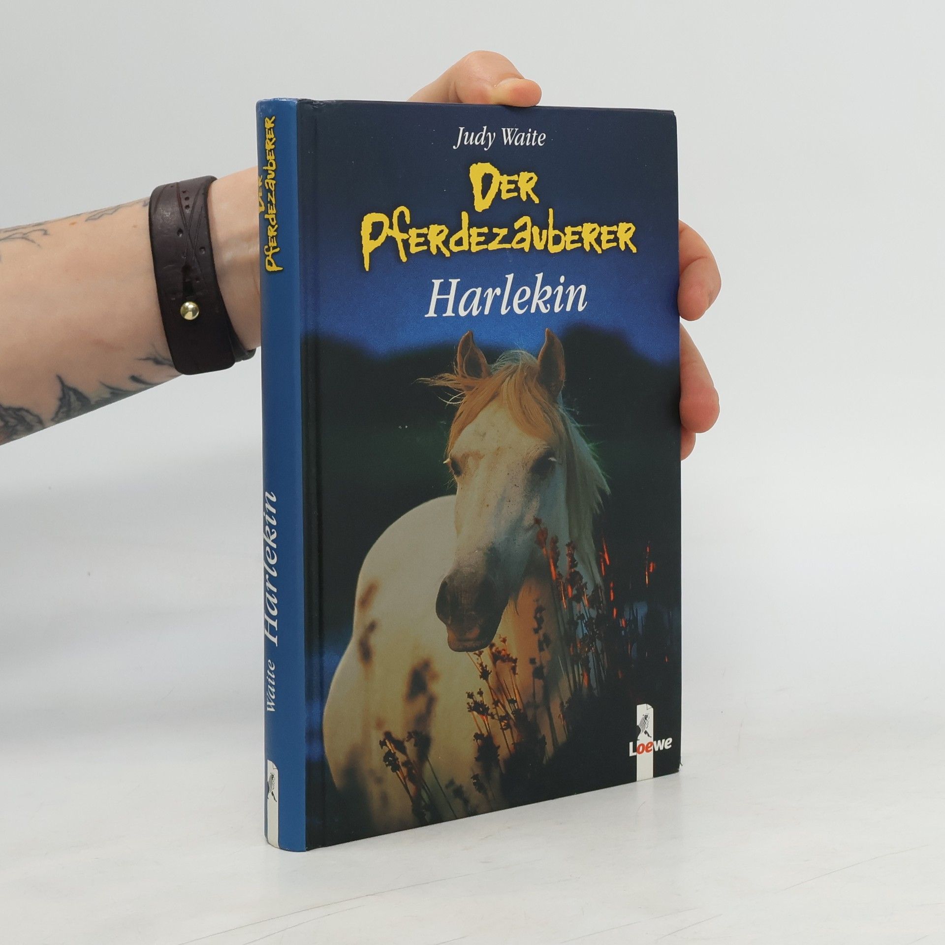 Judy Waite Der Pferdezauberer