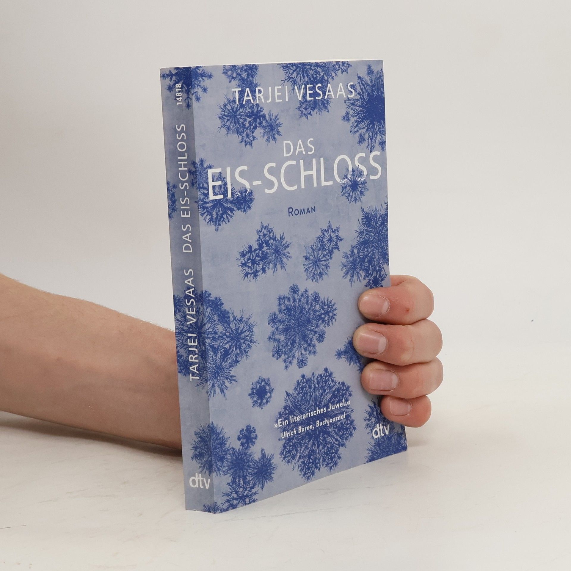 Tarjei Vesaas Das Eis-Schloss