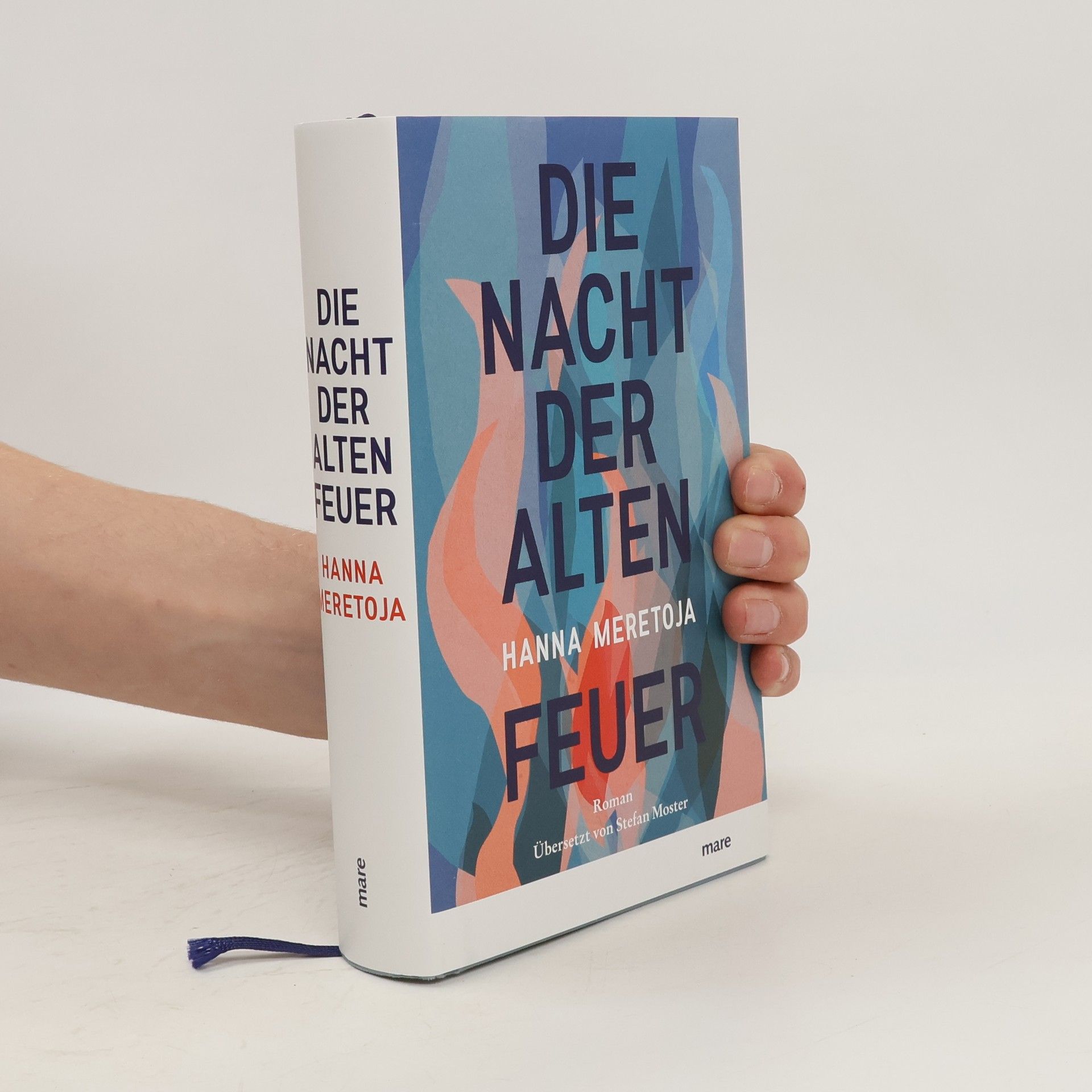 Hanna Meretoja Die Nacht der alten Feuer