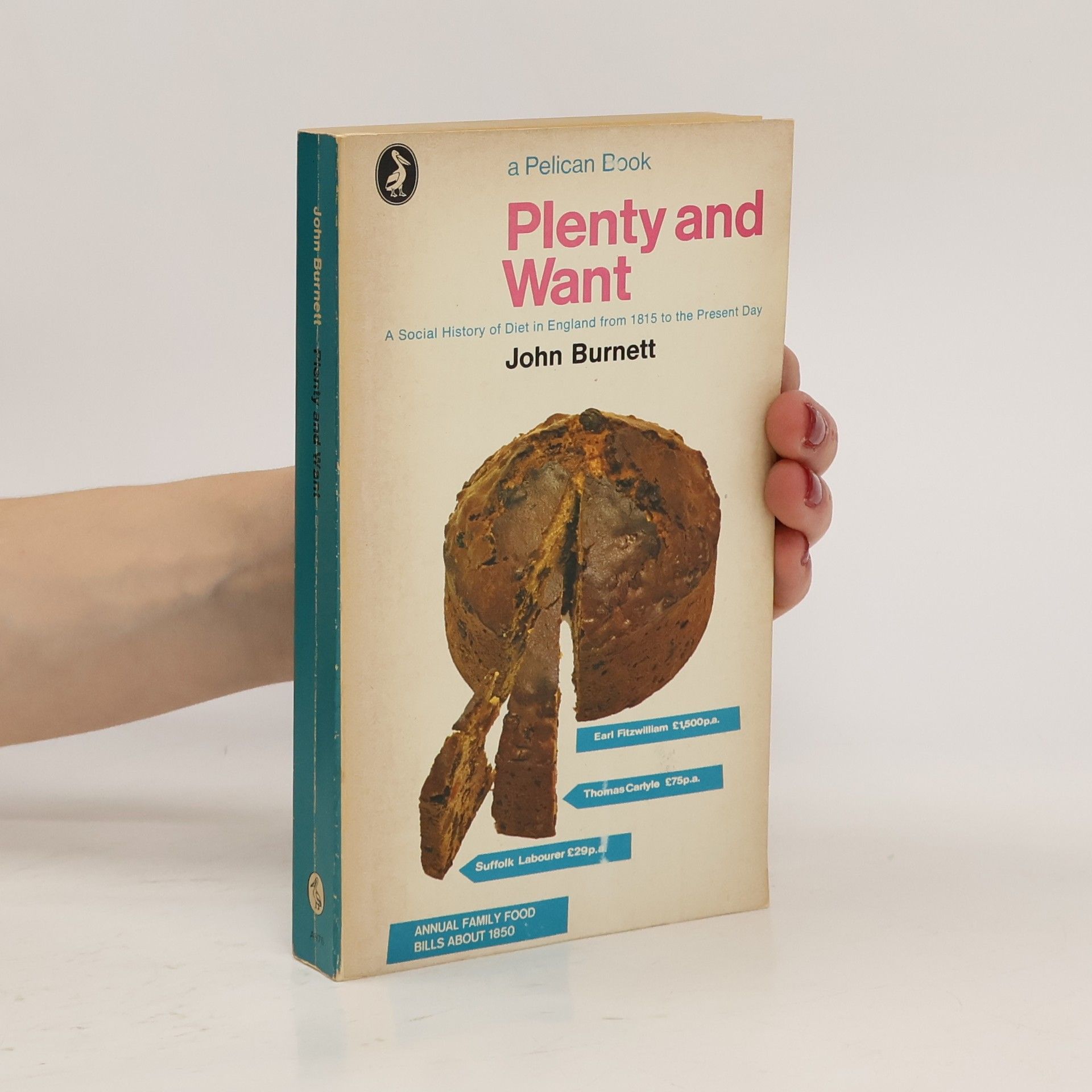 John Burnett Plenty and Want