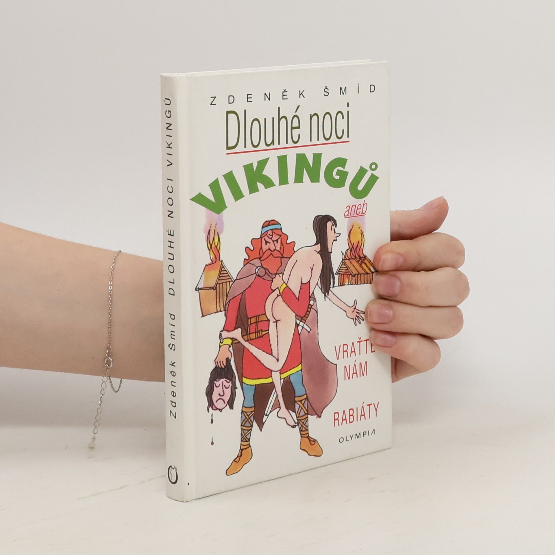 Zdeněk Šmíd Dlouhé noci Vikingů aneb Vraťte nám rabiáty