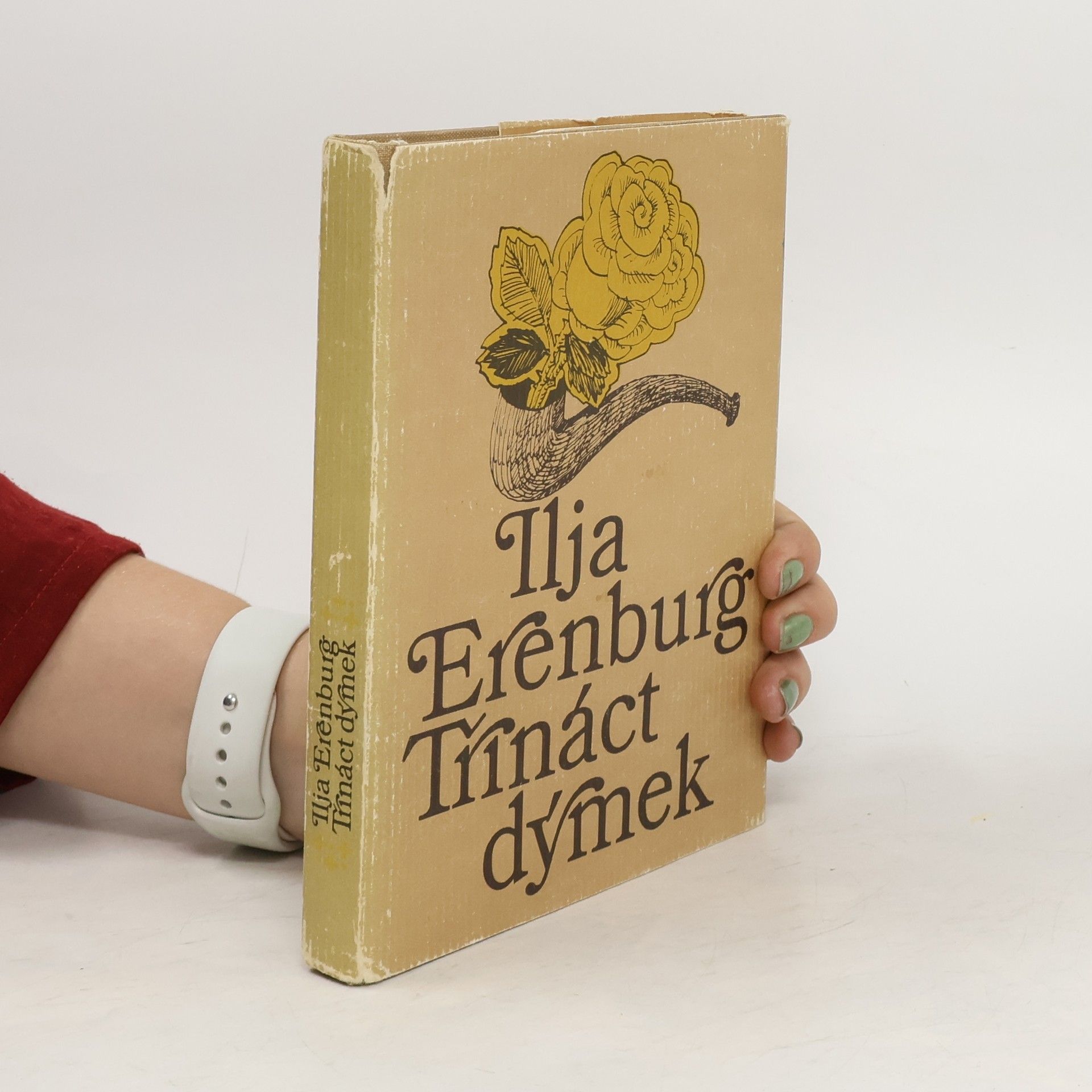 Ilja Grigorjevič Ehrenburg Třináct dýmek