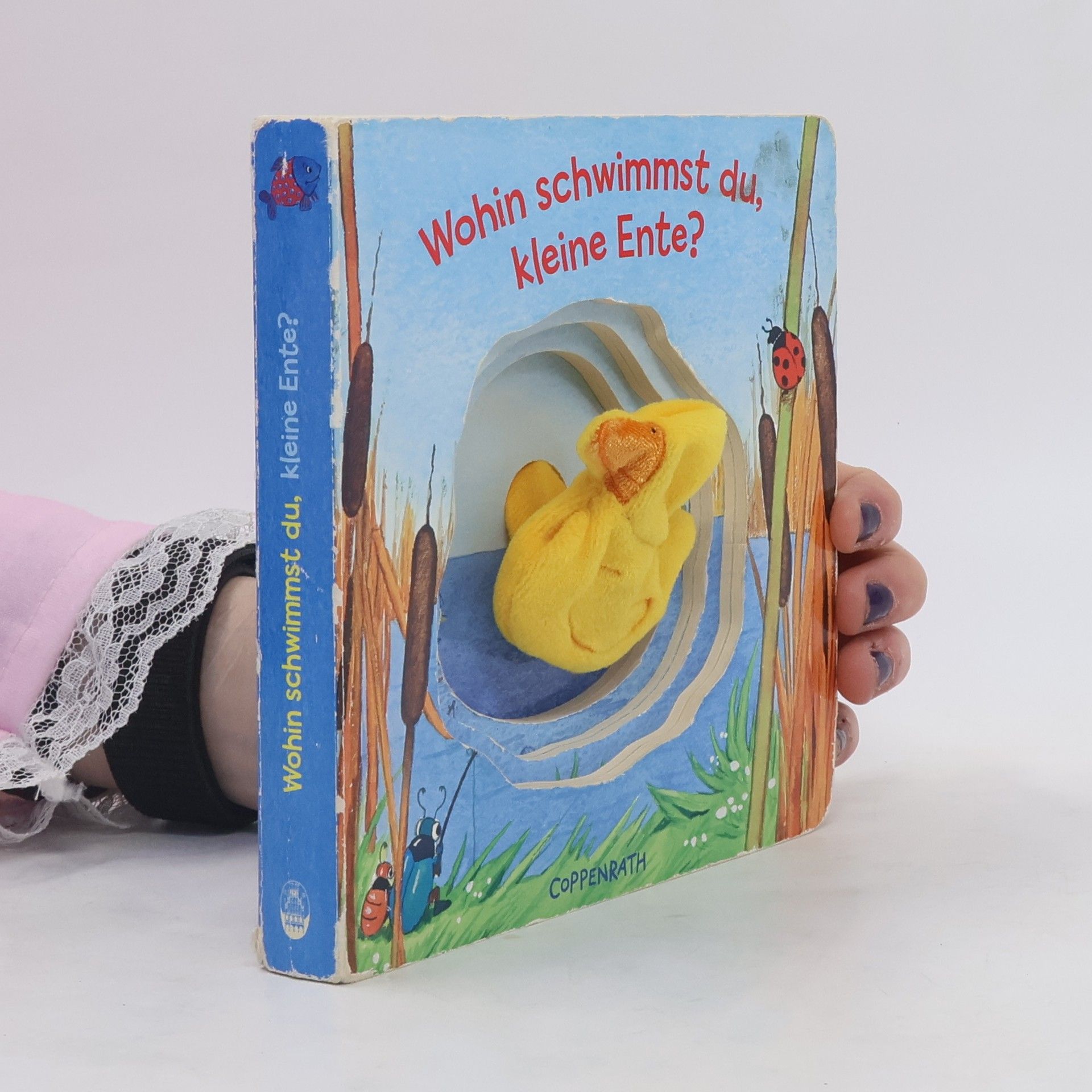 Kerstin M. Schuld Wohin schwimmst du, kleine Ente?