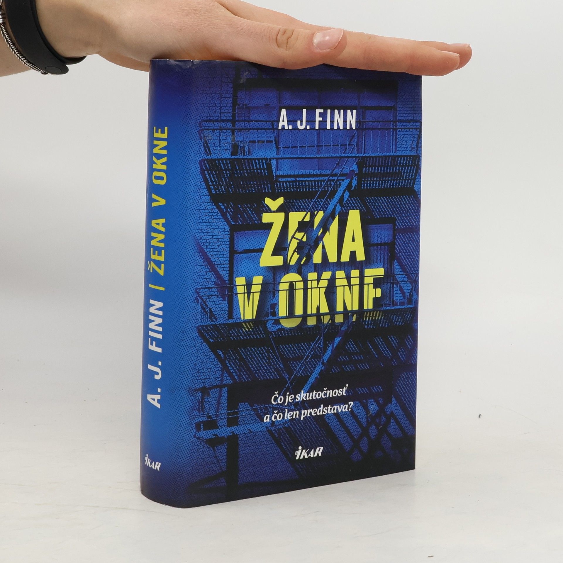 Daniel Mallory Žena v okne