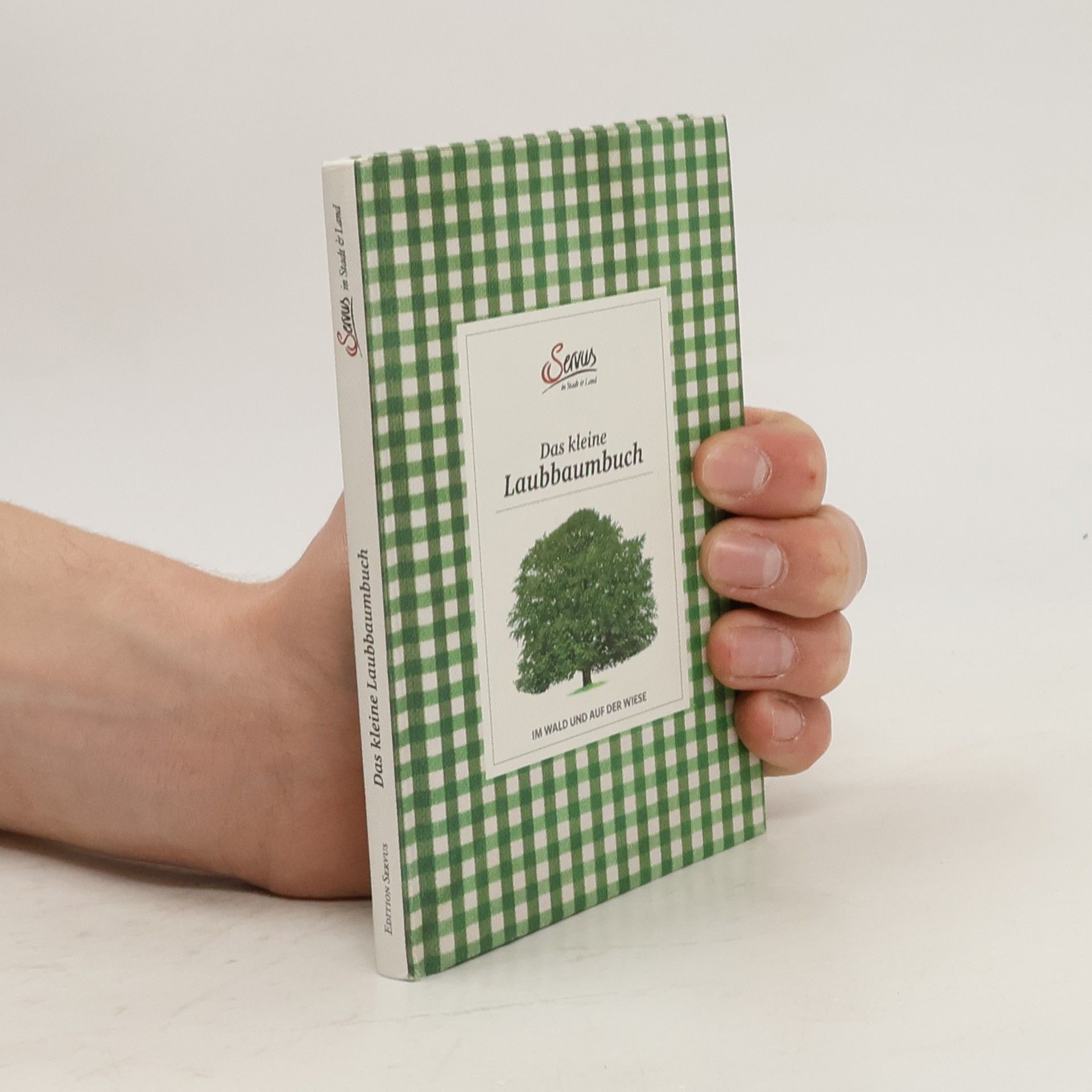 Julia Kospach Das kleine Laubbaumbuch