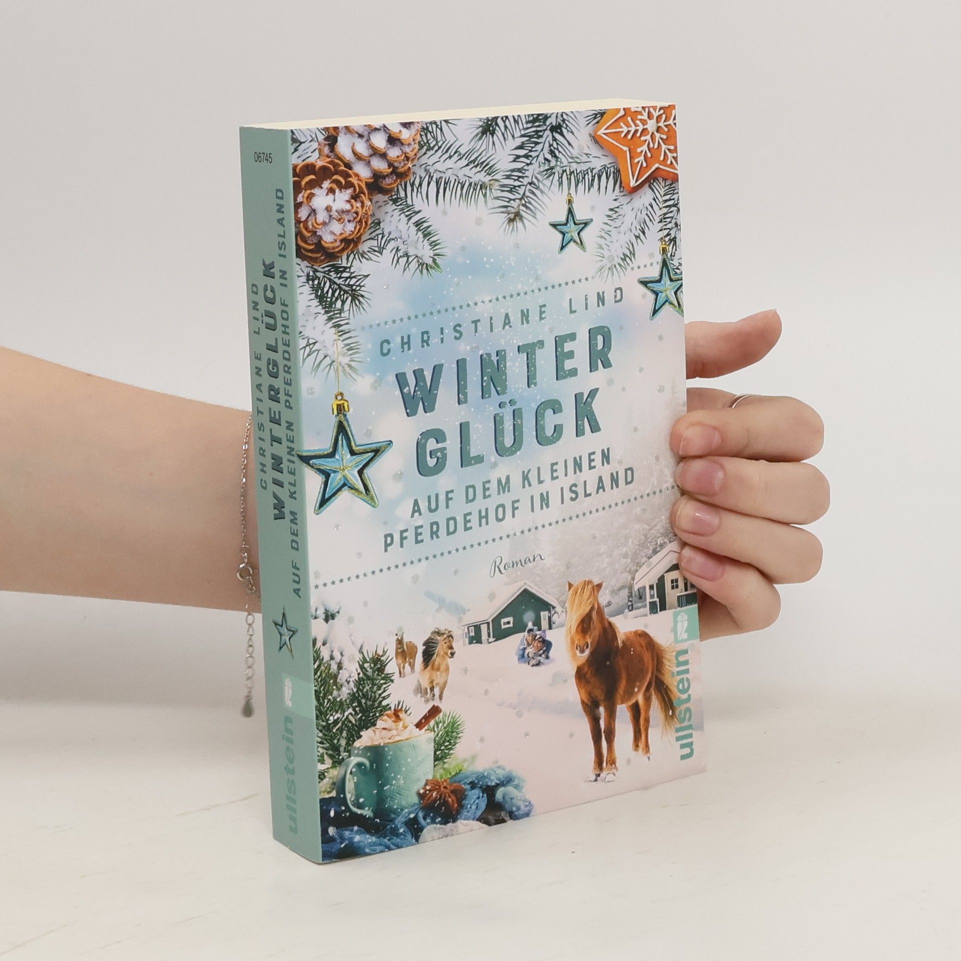 Christiane Lind Winterglück auf dem kleinen Pferdehof in Island
