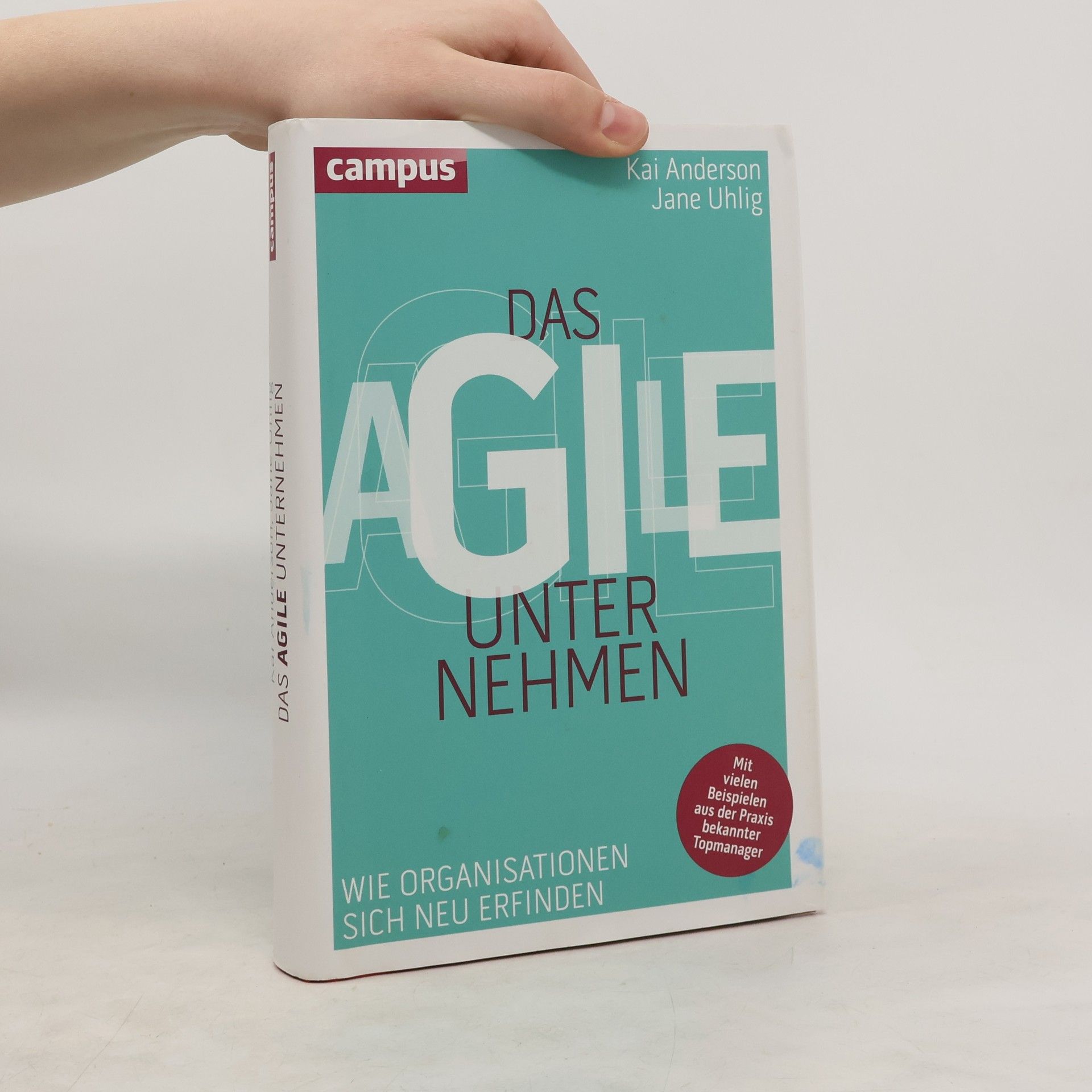 Kai Anderson Das agile Unternehmen