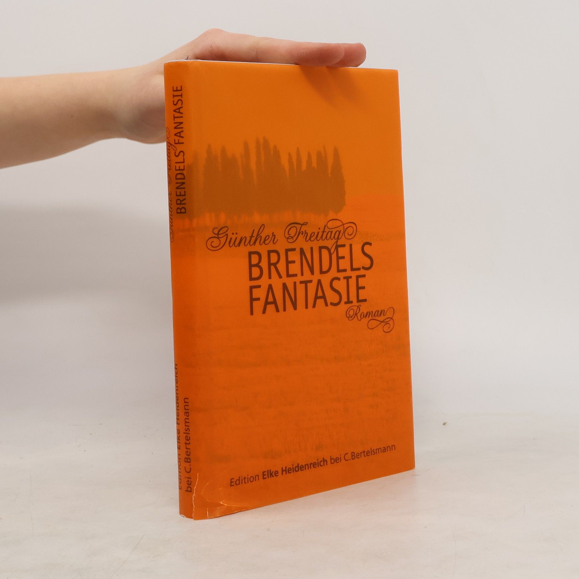 Günther Freitag Brendels Fantasie