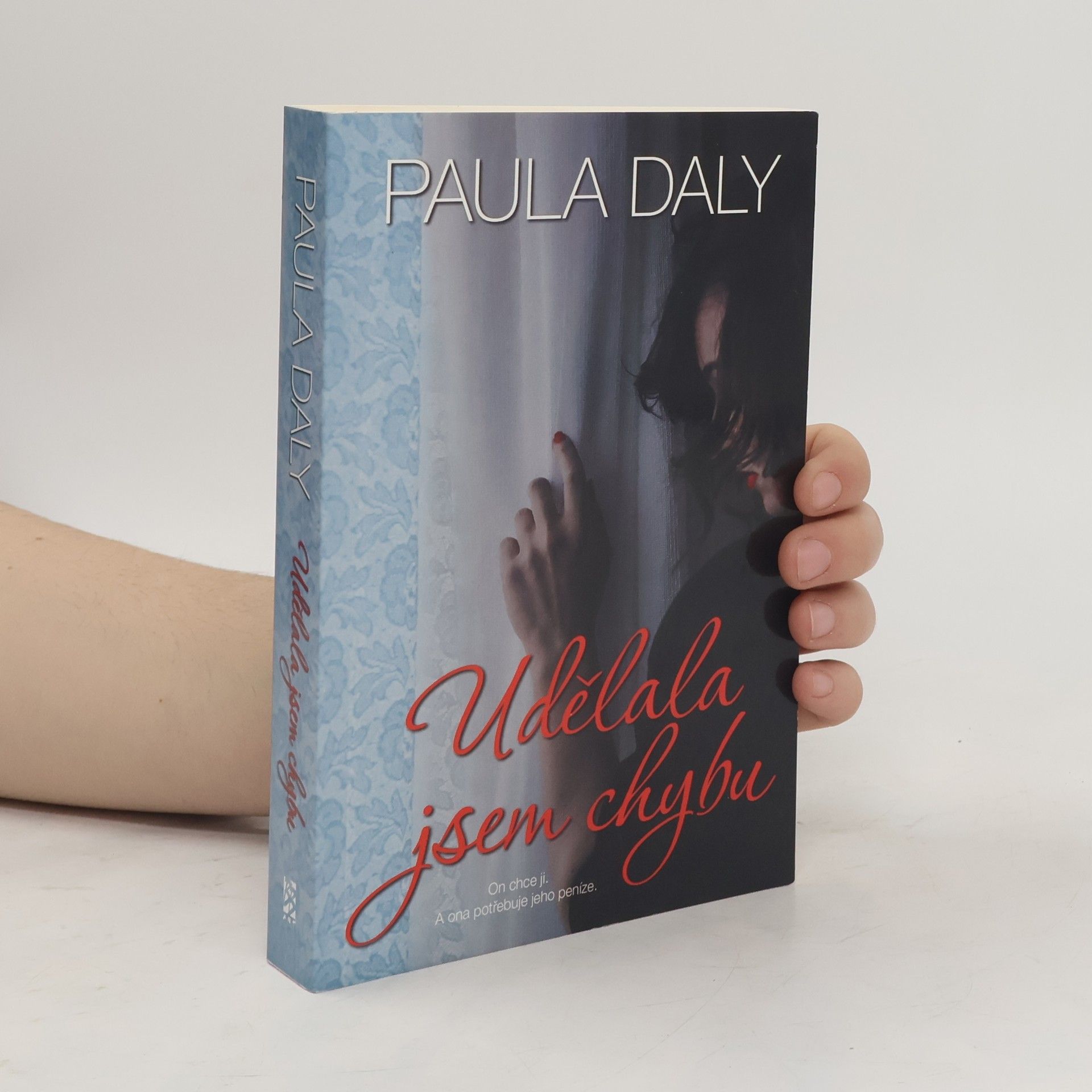 Paula Daly Udělala jsem chybu