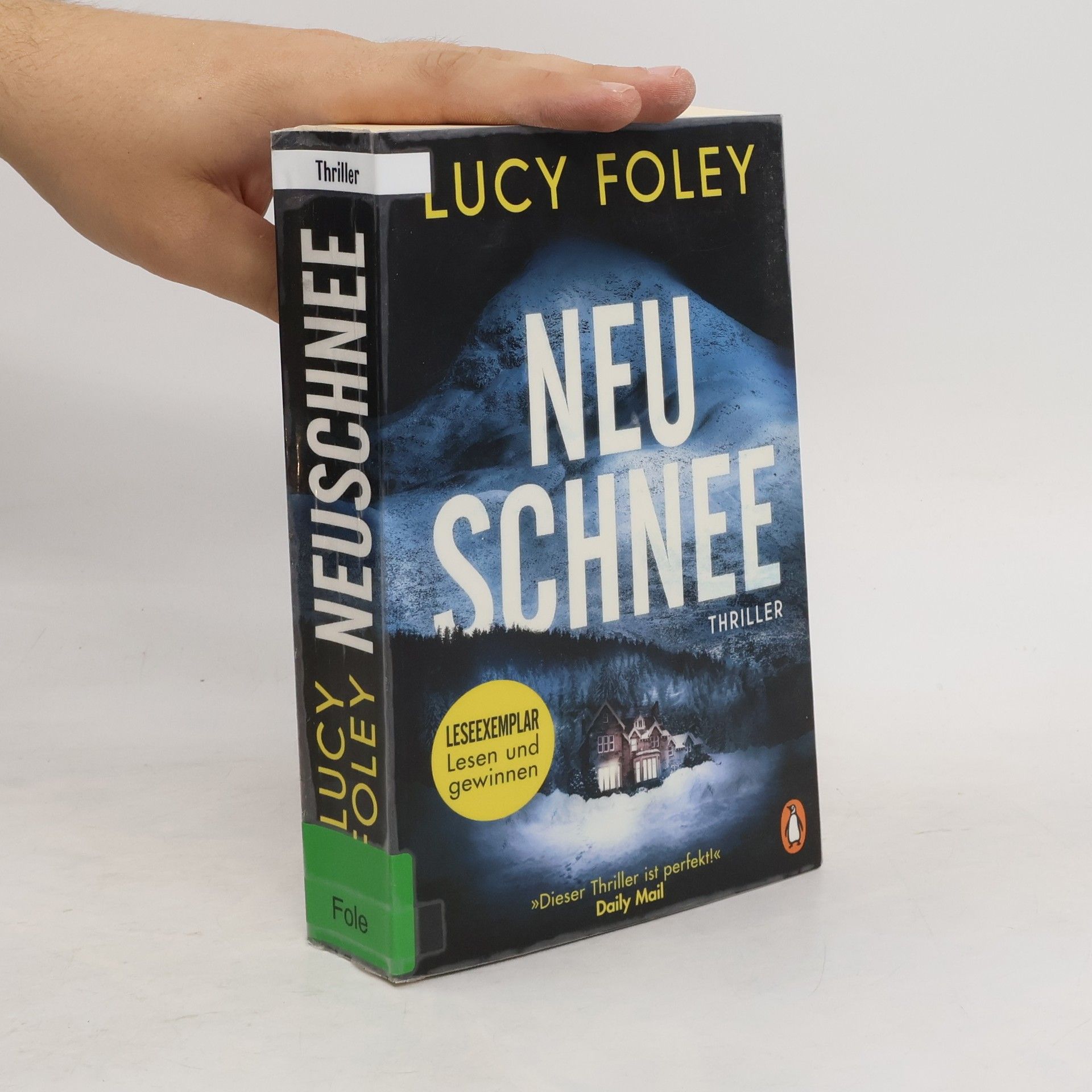 Lucy Foley Neu Schnee