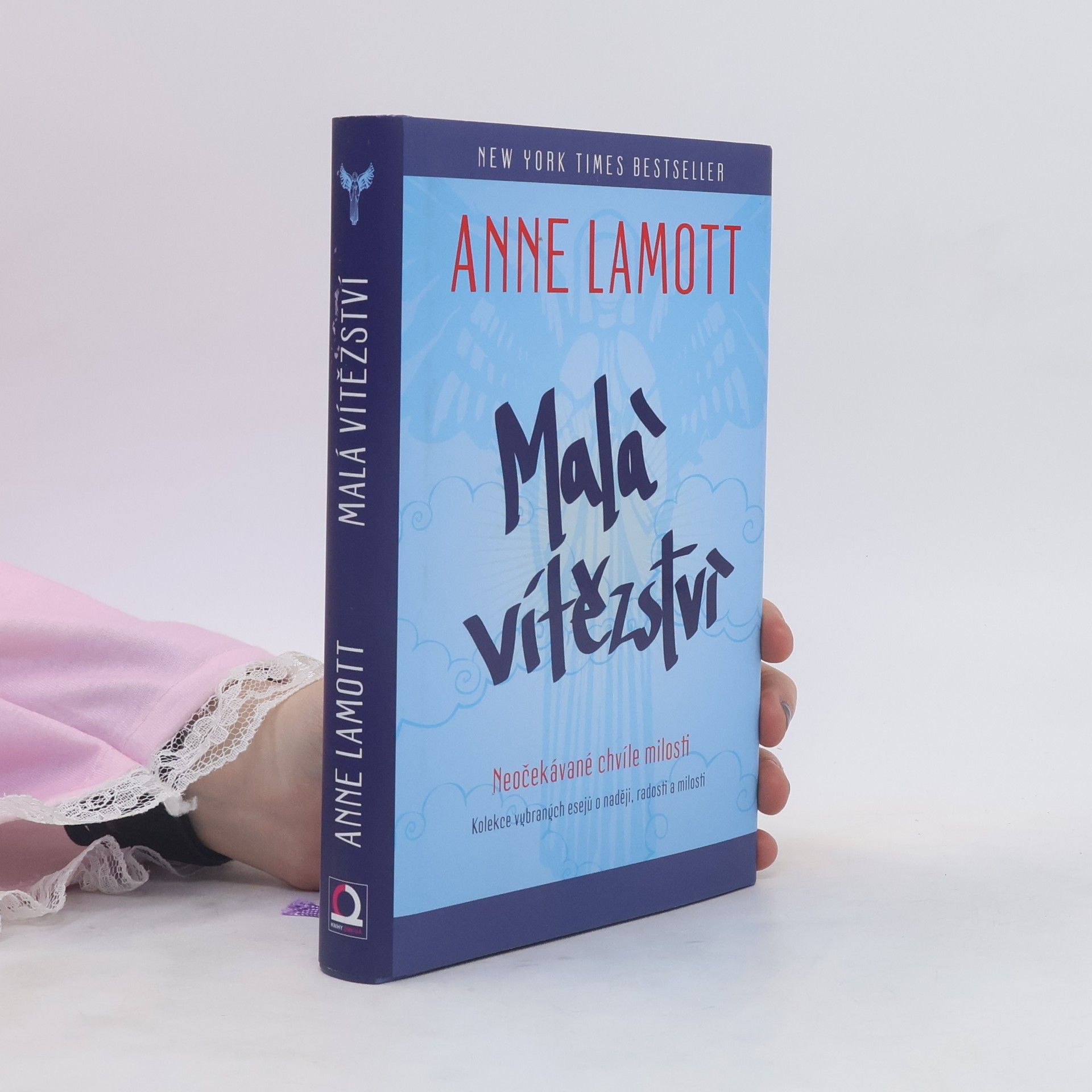 Anne Lamott Malá vítězství