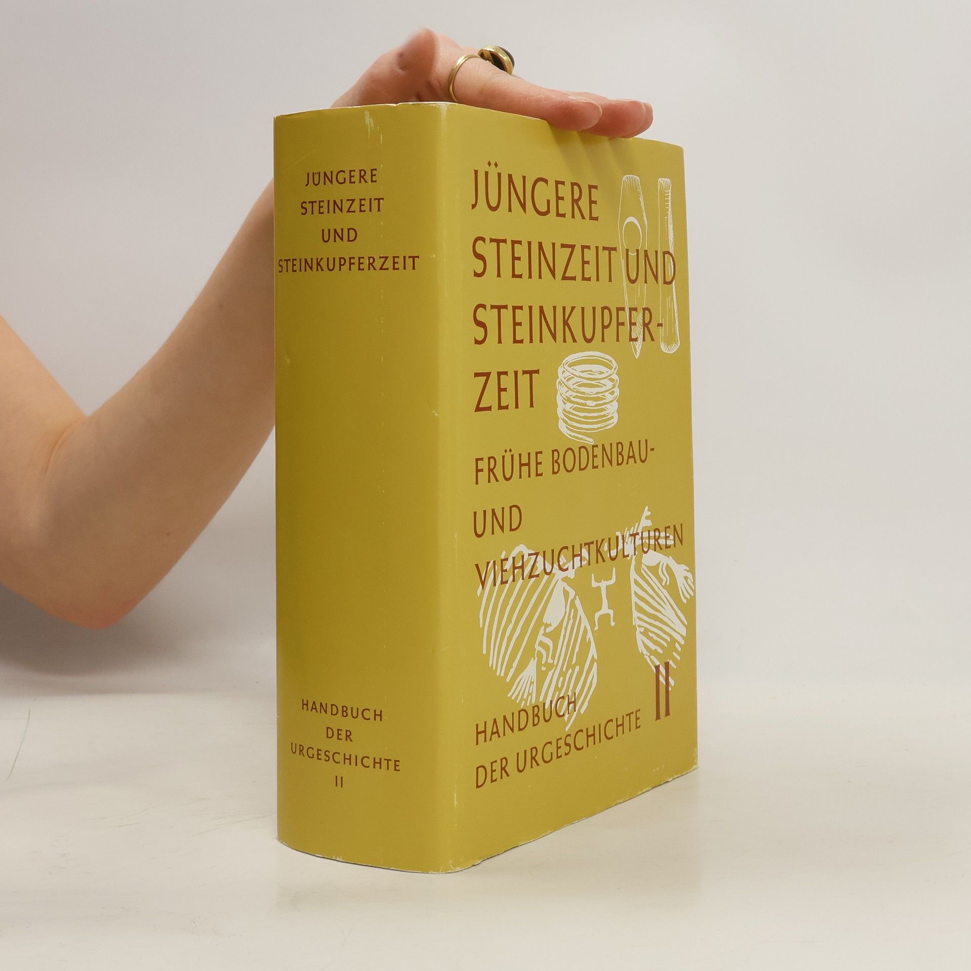 kolektiv Handbuch der Urgeschichte. Band II: Jüngere Steinzeit und Steinkupferzeit