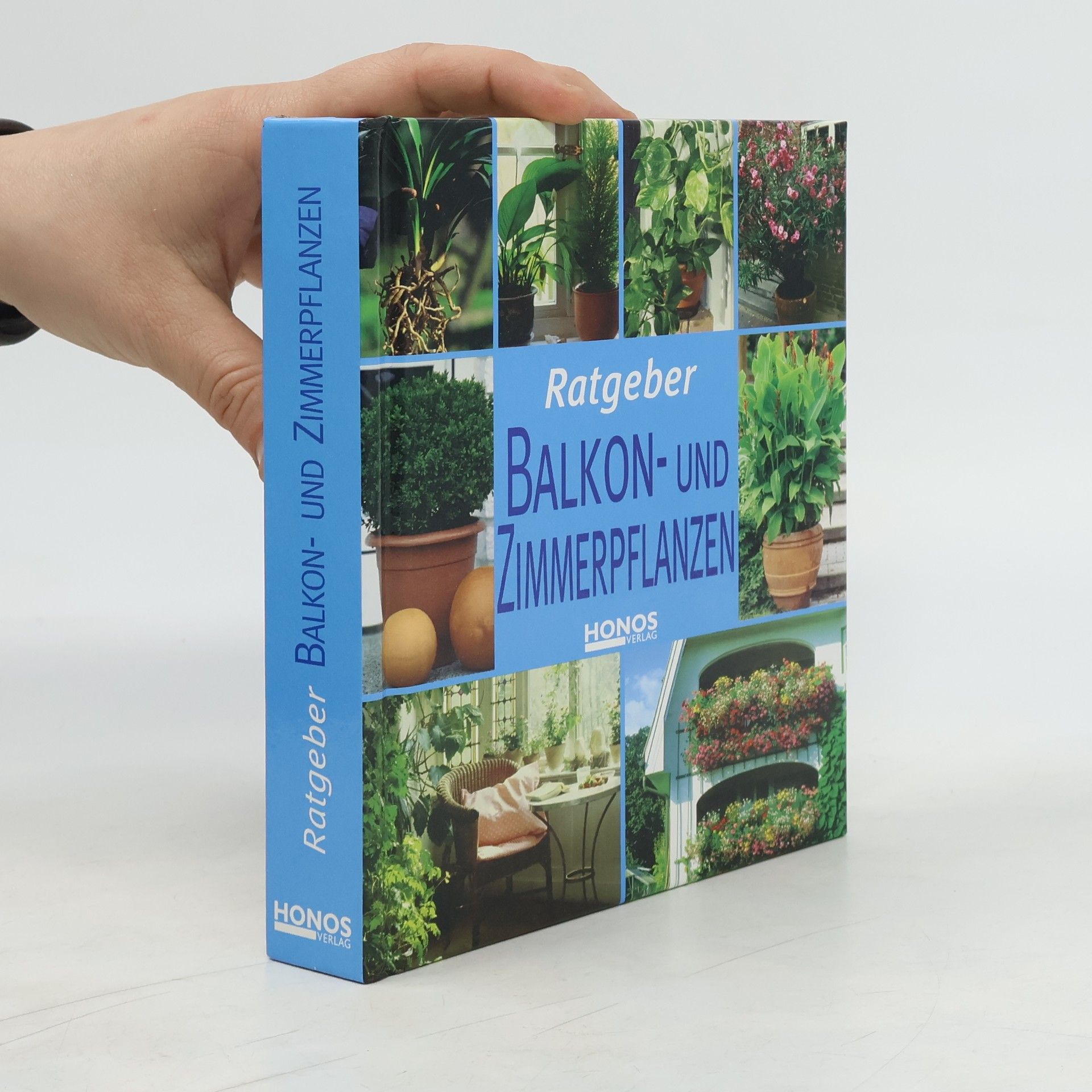 Andrea Rausch Balkon- und Zimmerpflanzen