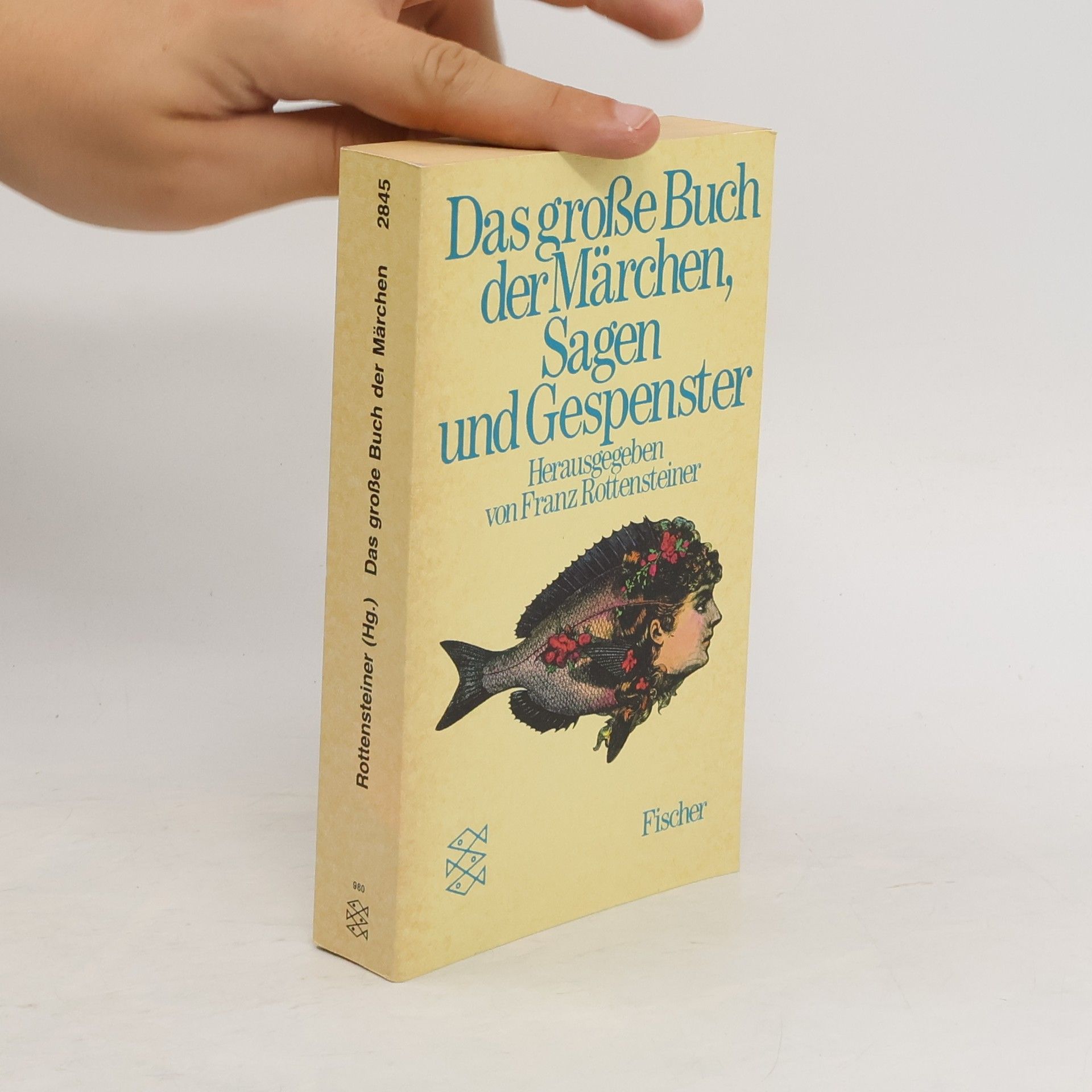 Franz Rottensteiner Das große Buch der Märchen, Sagen und Gespenster.