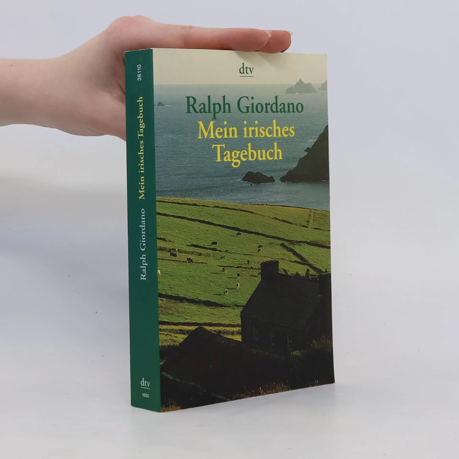 Mein irisches Tagebuch | Buch | Ralph Giordano