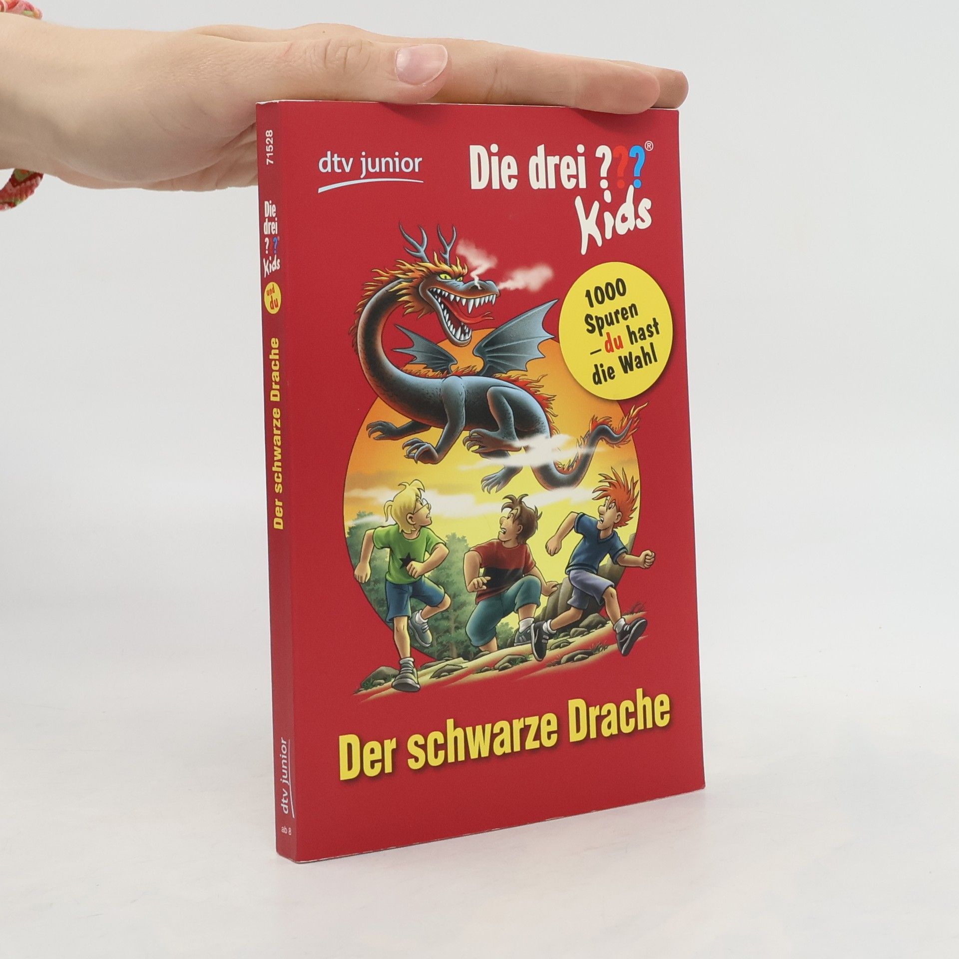 Boris Pfeiffer Die drei ???-Kids - Der schwarze Drache