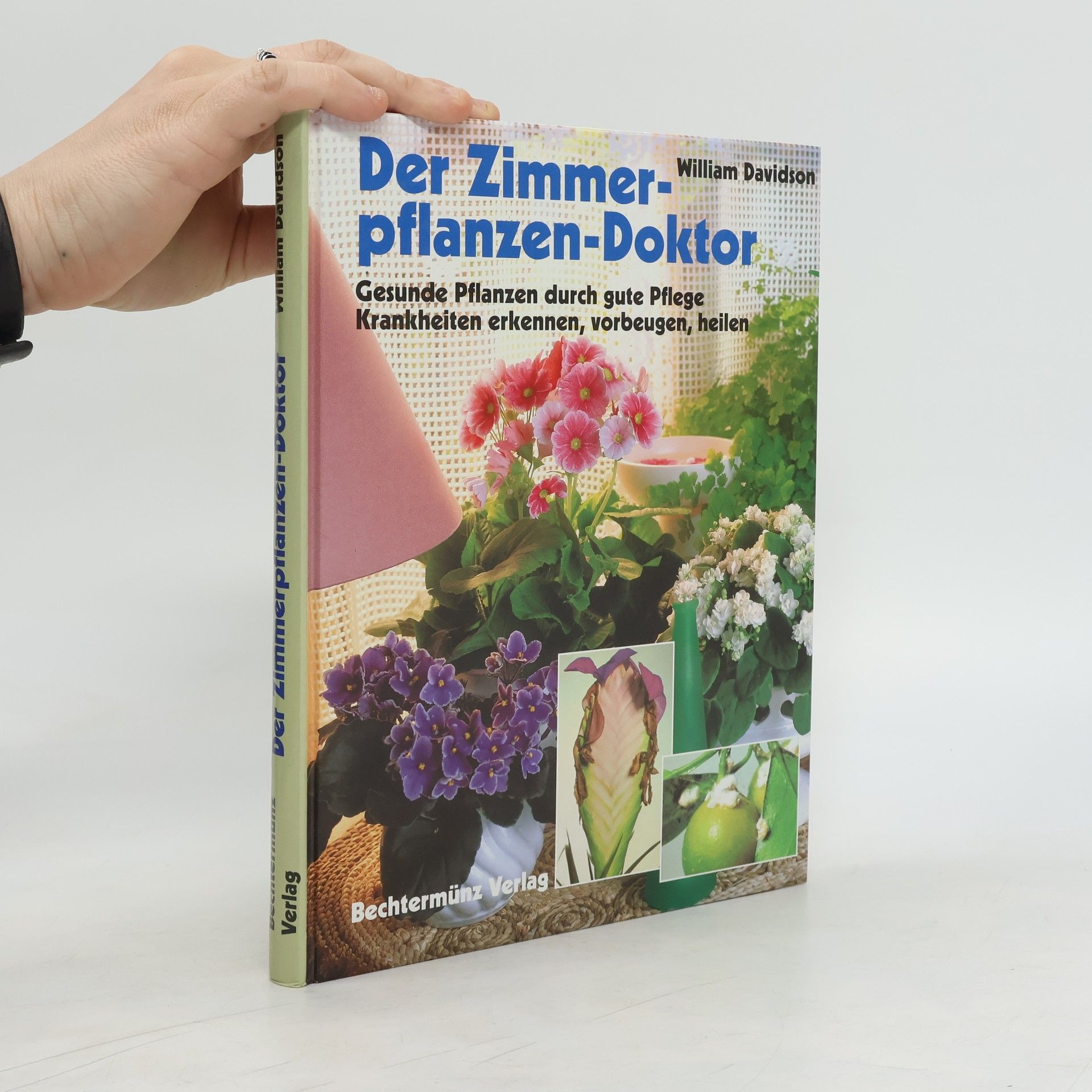 William Davidson Der Zimmerpflanzen-Doktor